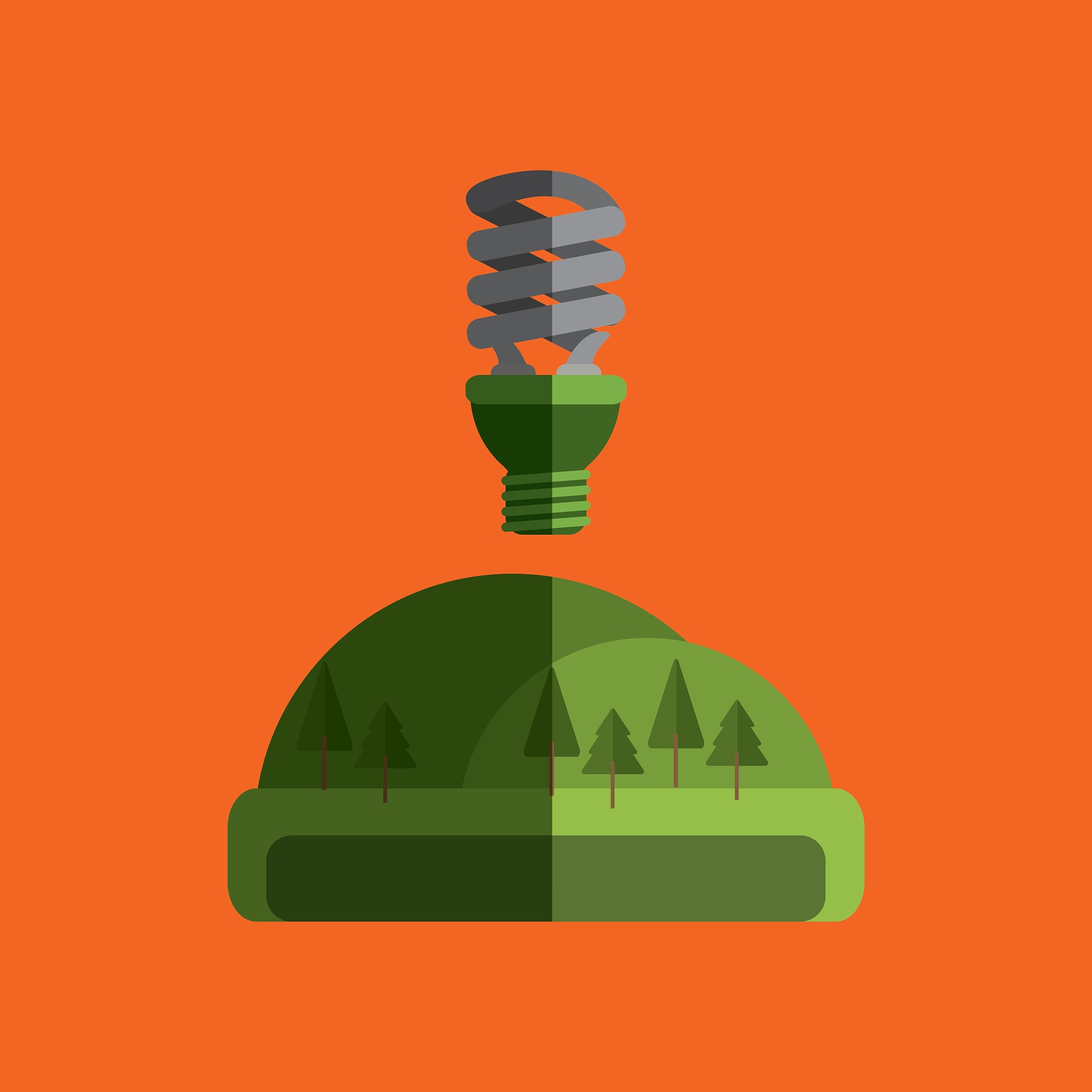 有机化学进展：合成、生物、超分子、电子和绿色化学