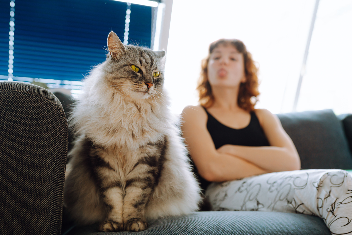 扮演一名宠物领域自媒体人对以下的文章进行重新整理编写出一篇800字的小红书爆文喵喵大家好我是一只幸福的猫咪主人因为我有一家多猫家庭和我一起生活的小伙伴有三只可爱的猫咪生活中我们总是会遇到各种各样的挑战但是有了这三只毛茸茸的小家伙我们的生活变得更加丰富和快乐。首先让我来介绍一下我的猫咪小伙伴们首先是我家的老大一只名叫小黑的黑猫咪它是我们家的宠物之一性格温和喜欢躲在角落里睡觉。接下来是一只名叫小花的花