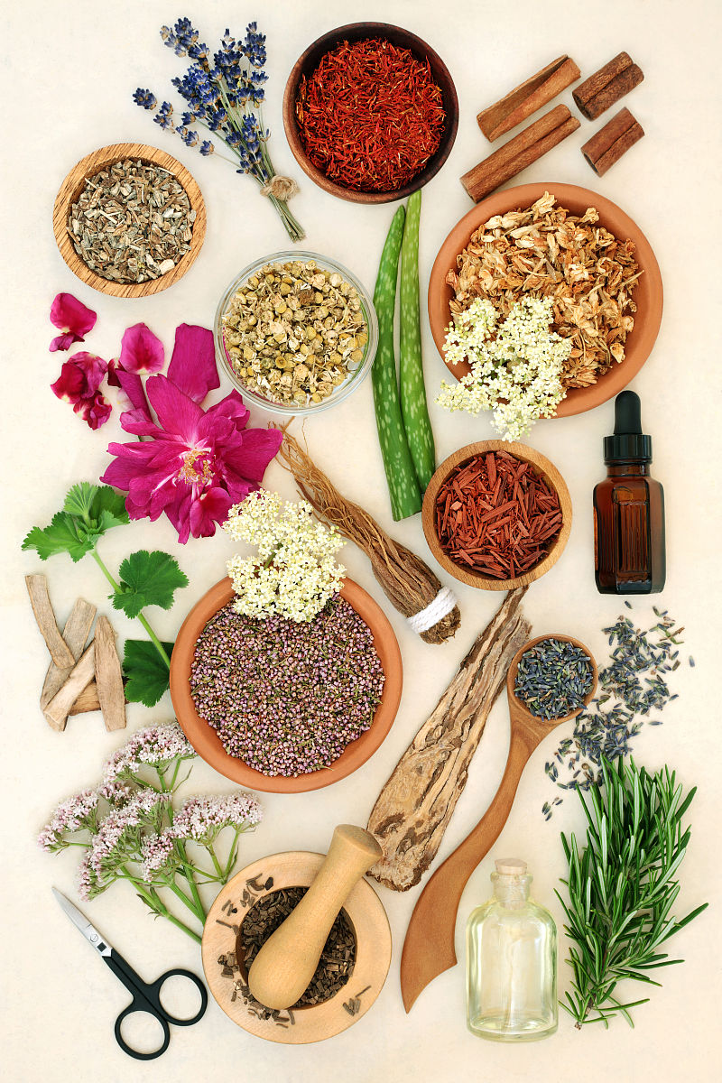 肝属木：中医概念与现代营养学的关系