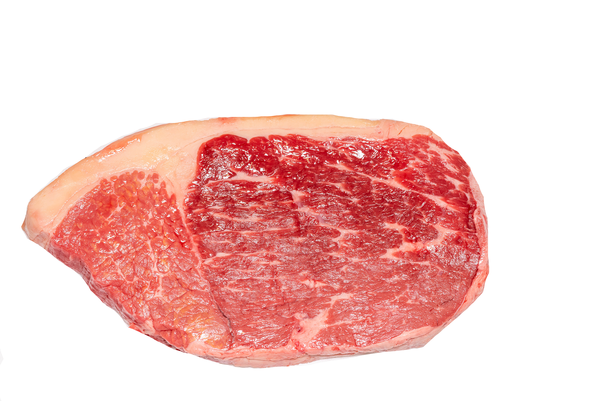 写一篇关于牛肉养殖和蛋白桑种植方面的商业计划书