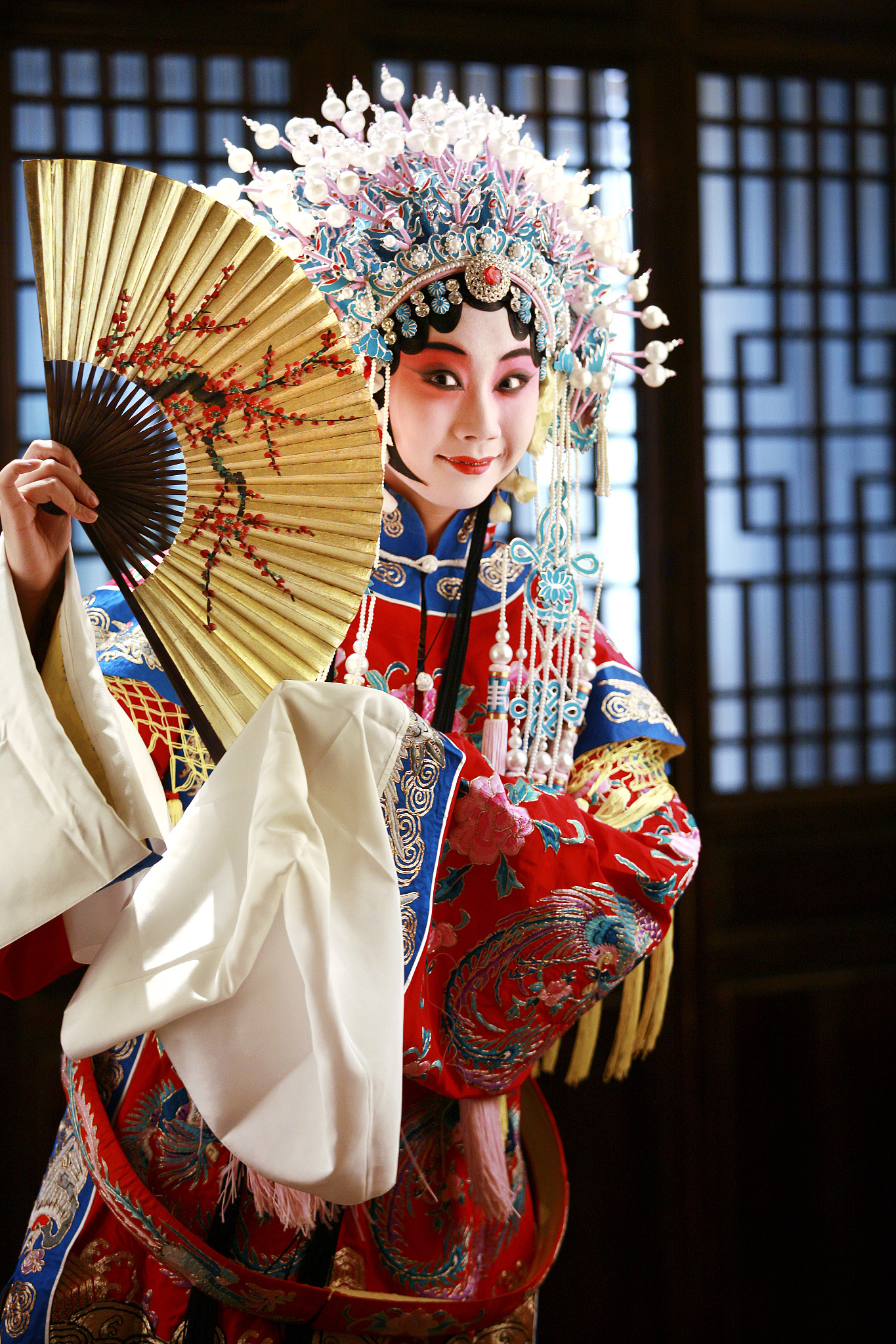 贵妃