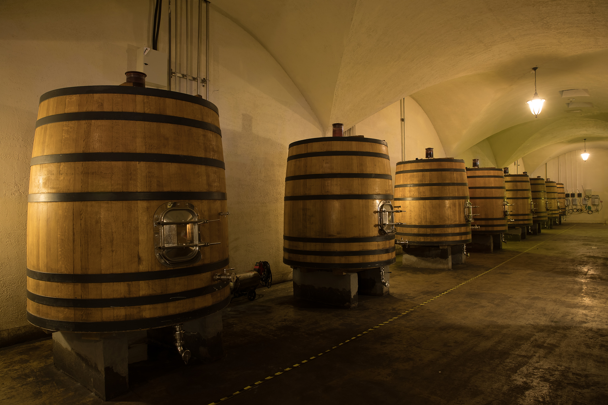 给我一个 酿酒玩法 的介绍