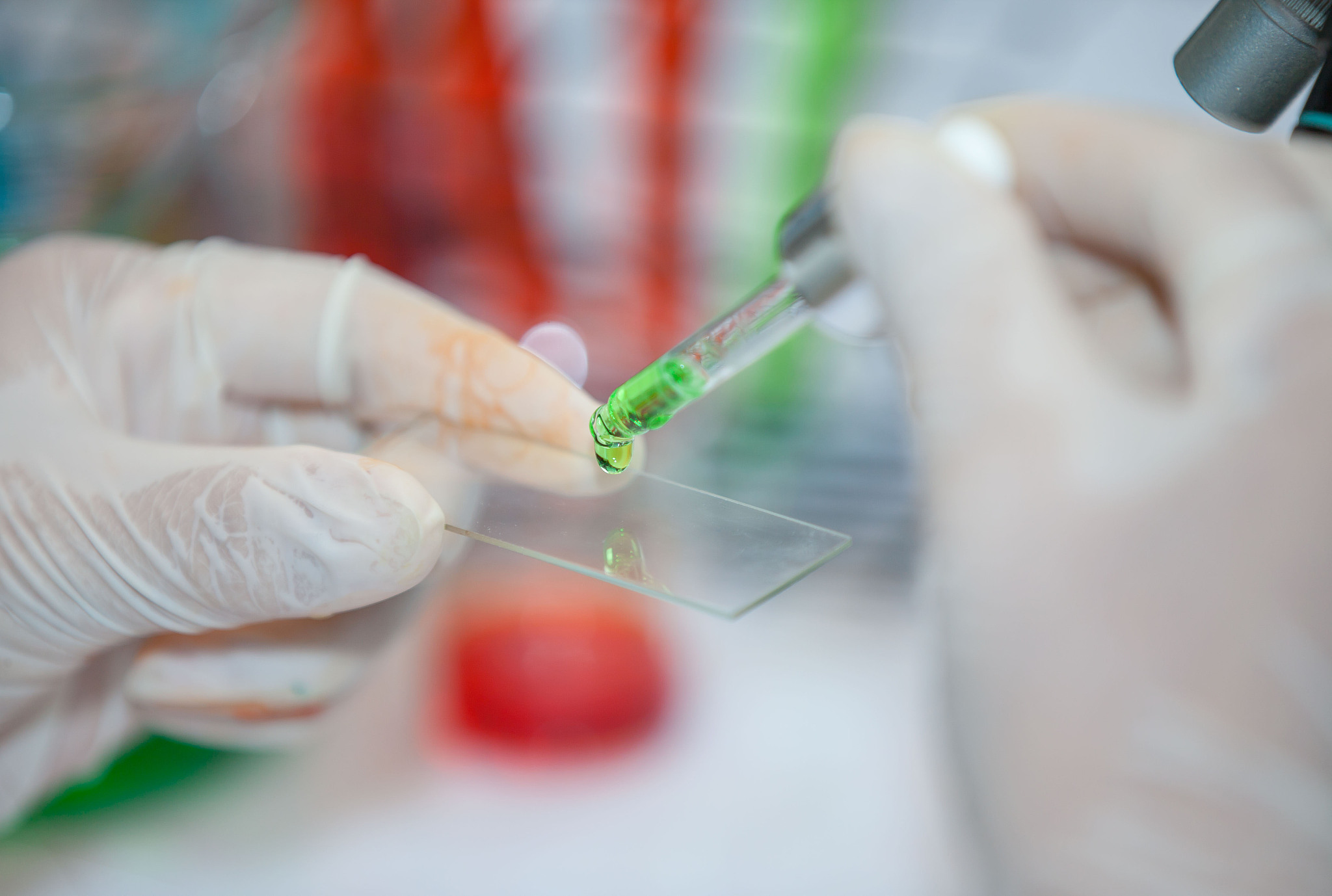 我需要你作为一名SEO帮助我把对应的关键词变为包含多个需求且吸引人的SEO长标题但要注意长标题不可以是疑问句以下是内容：冻胚移植后能不能吃水果