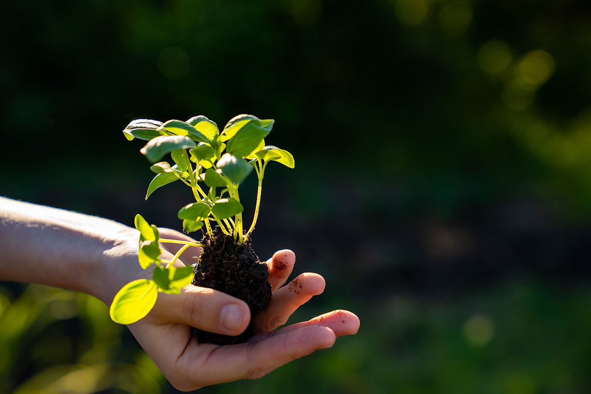 辽宁水利职业学院园艺技术专业怎么样？就业前景、师资力量、教学设施全解析