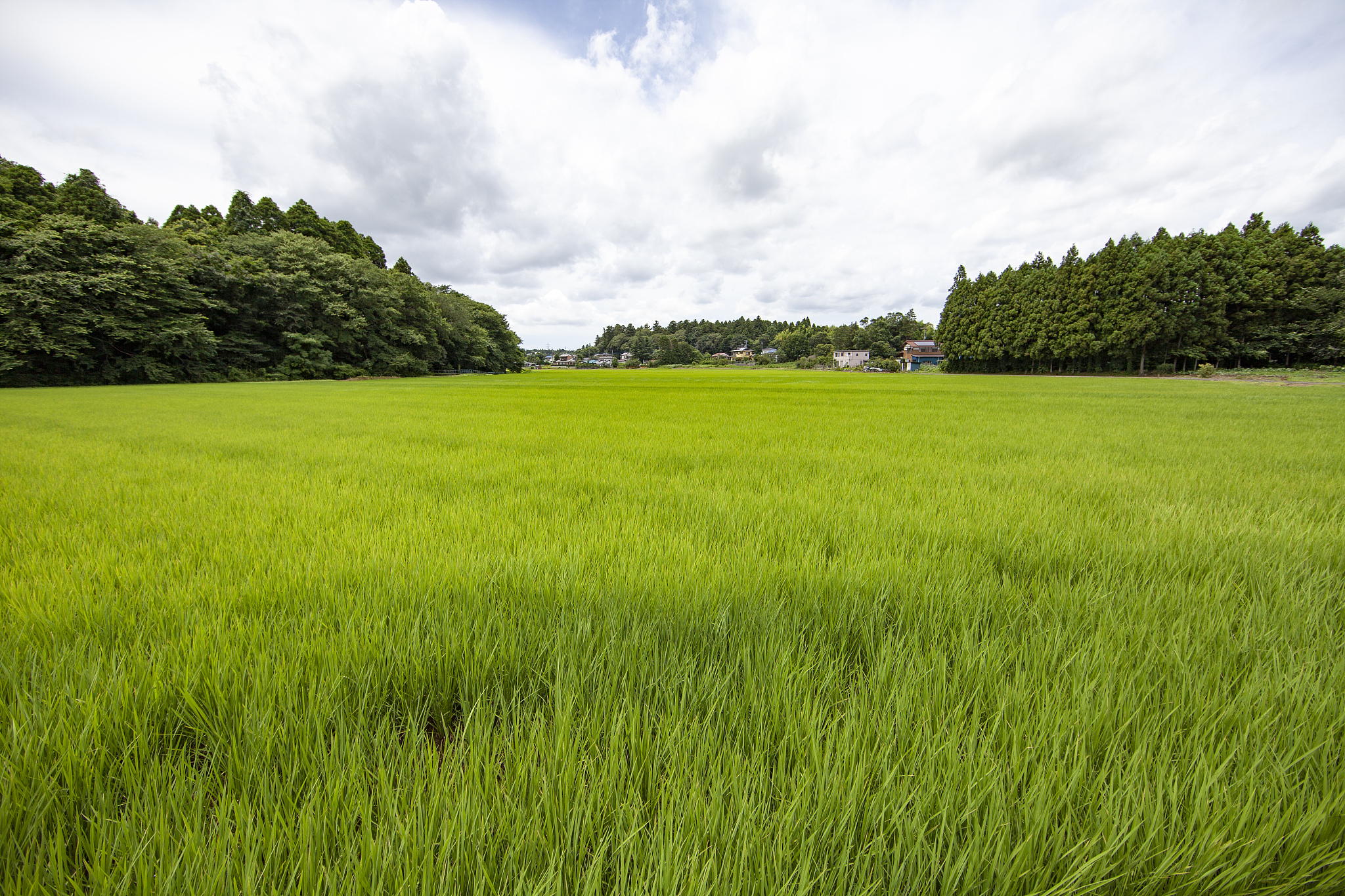 2023年江西农业工程职业学院招生简章-怎么样