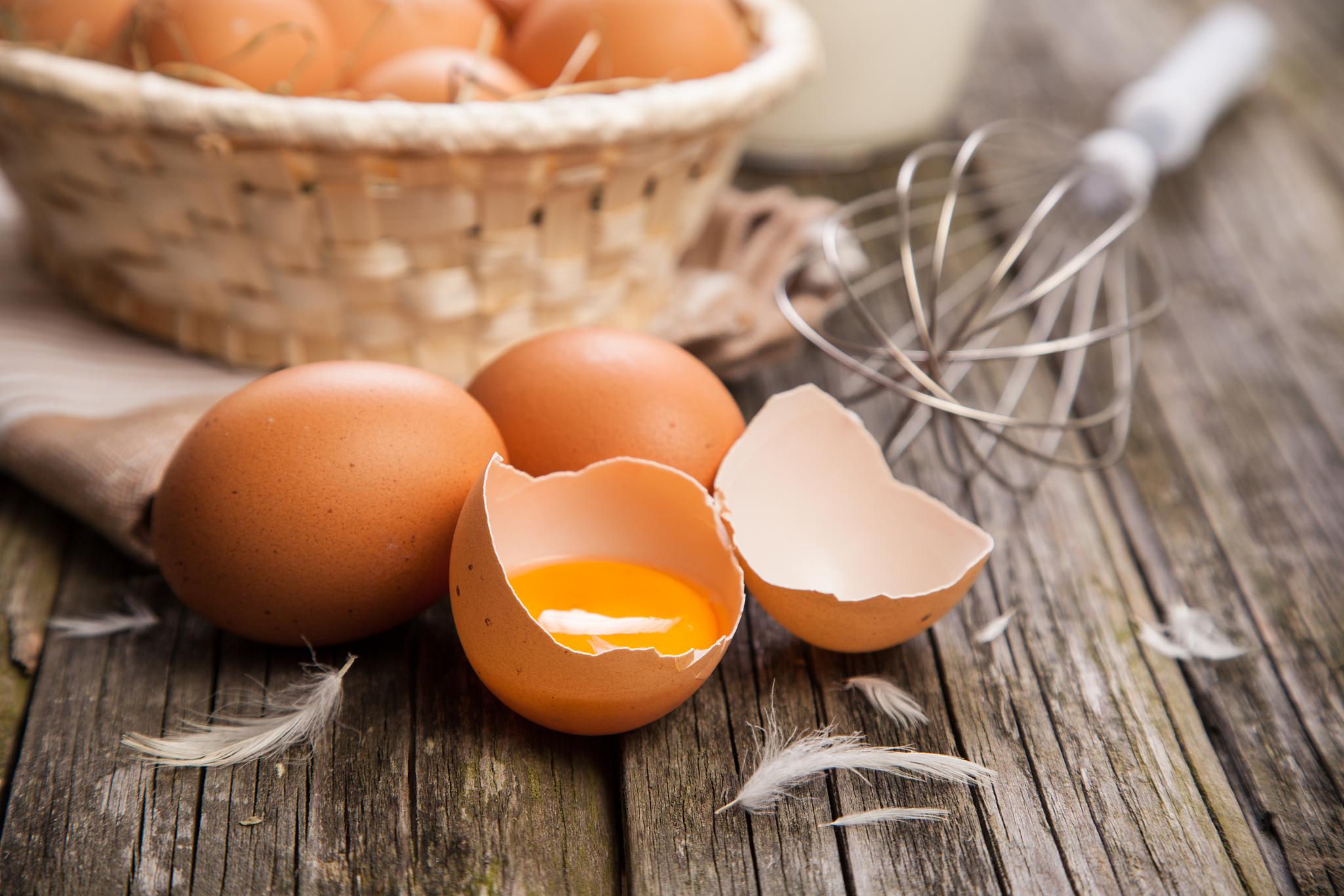 fresh organic eggs