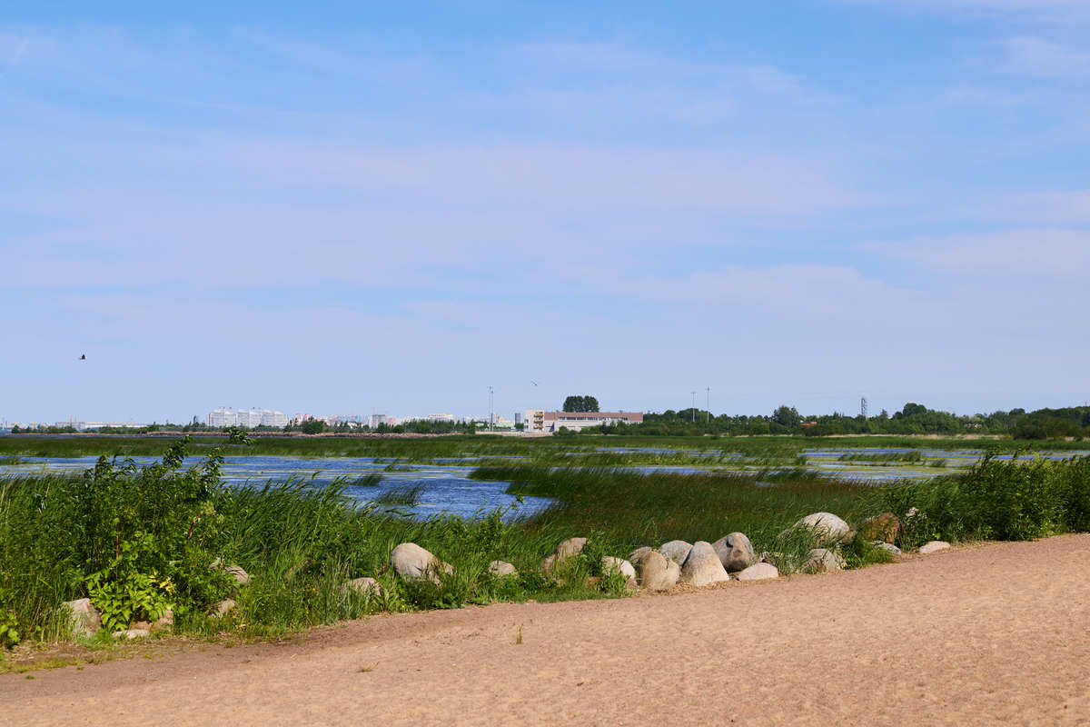 沧州市海兴县的全面介绍