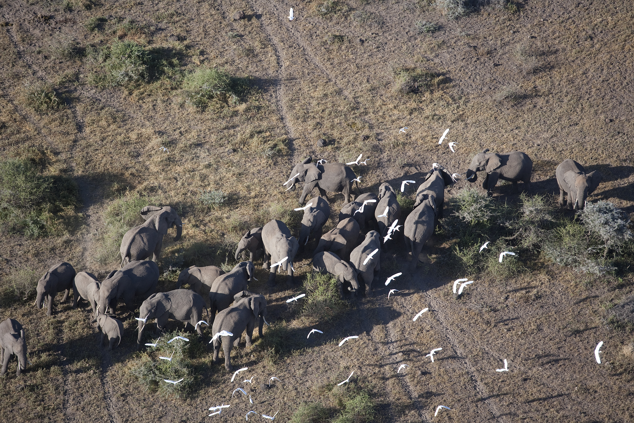 生物多样性遭受破坏的后果