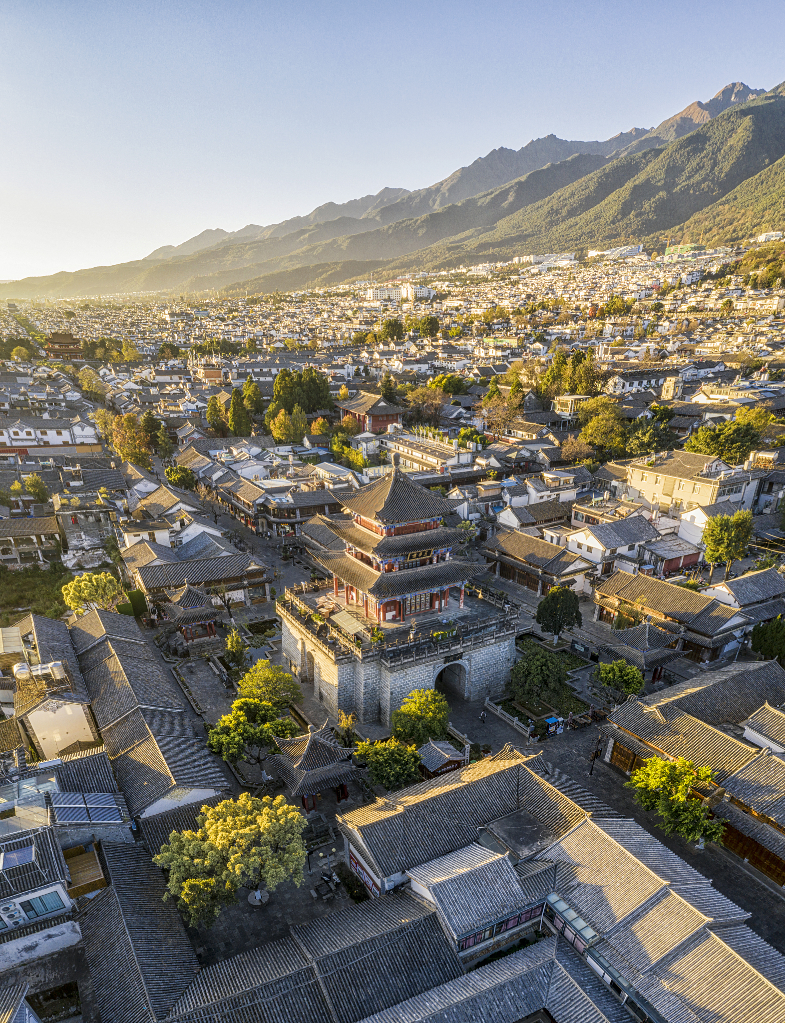 朝阳媒体曝光平台及求助热线：高效解决问题指南