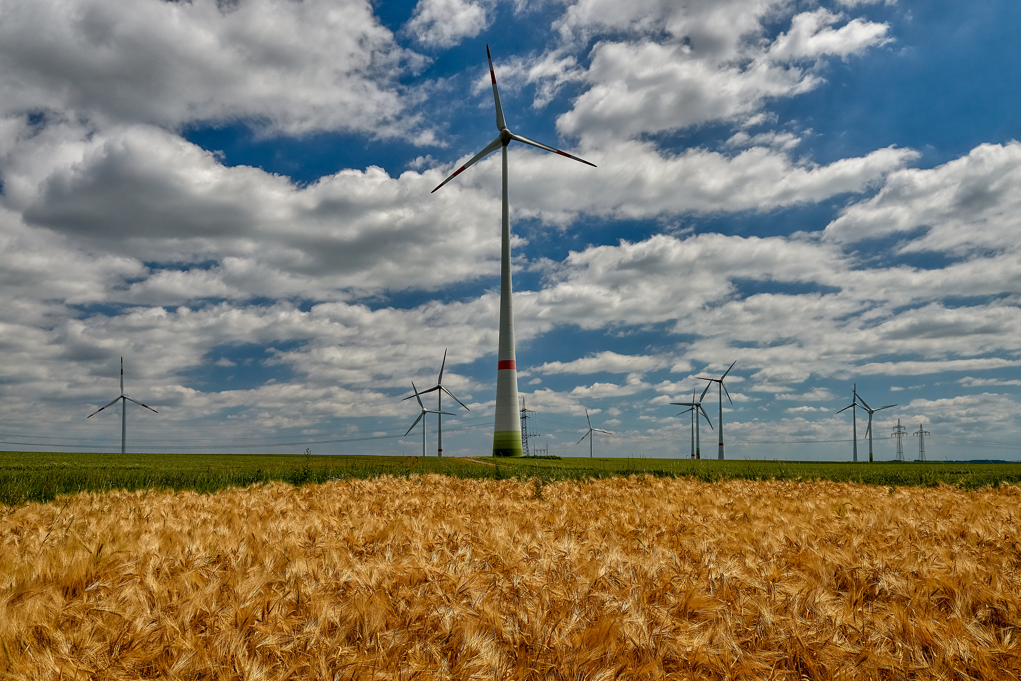 海南大学生物技术专业怎么样