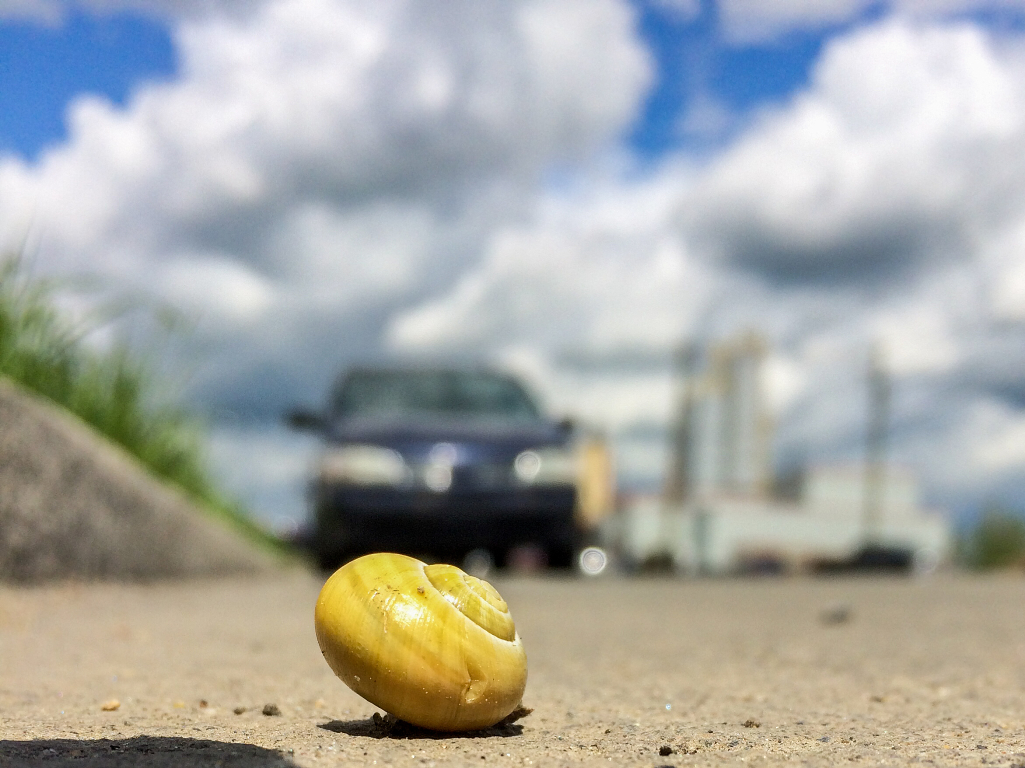 汽车常规养护：从实践中感悟思政价值