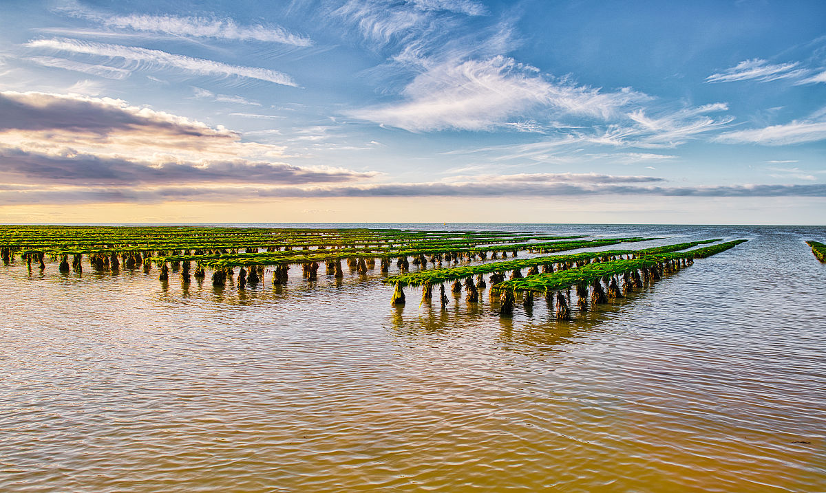 嘉善总工会职工学校水产养殖技术专业就业前景分析：毕业后能做什么工作？
