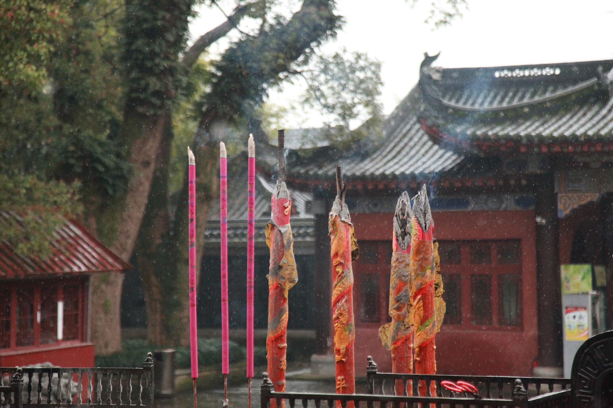 福建周边省份旅游指南：浙江、江西、广东深度游