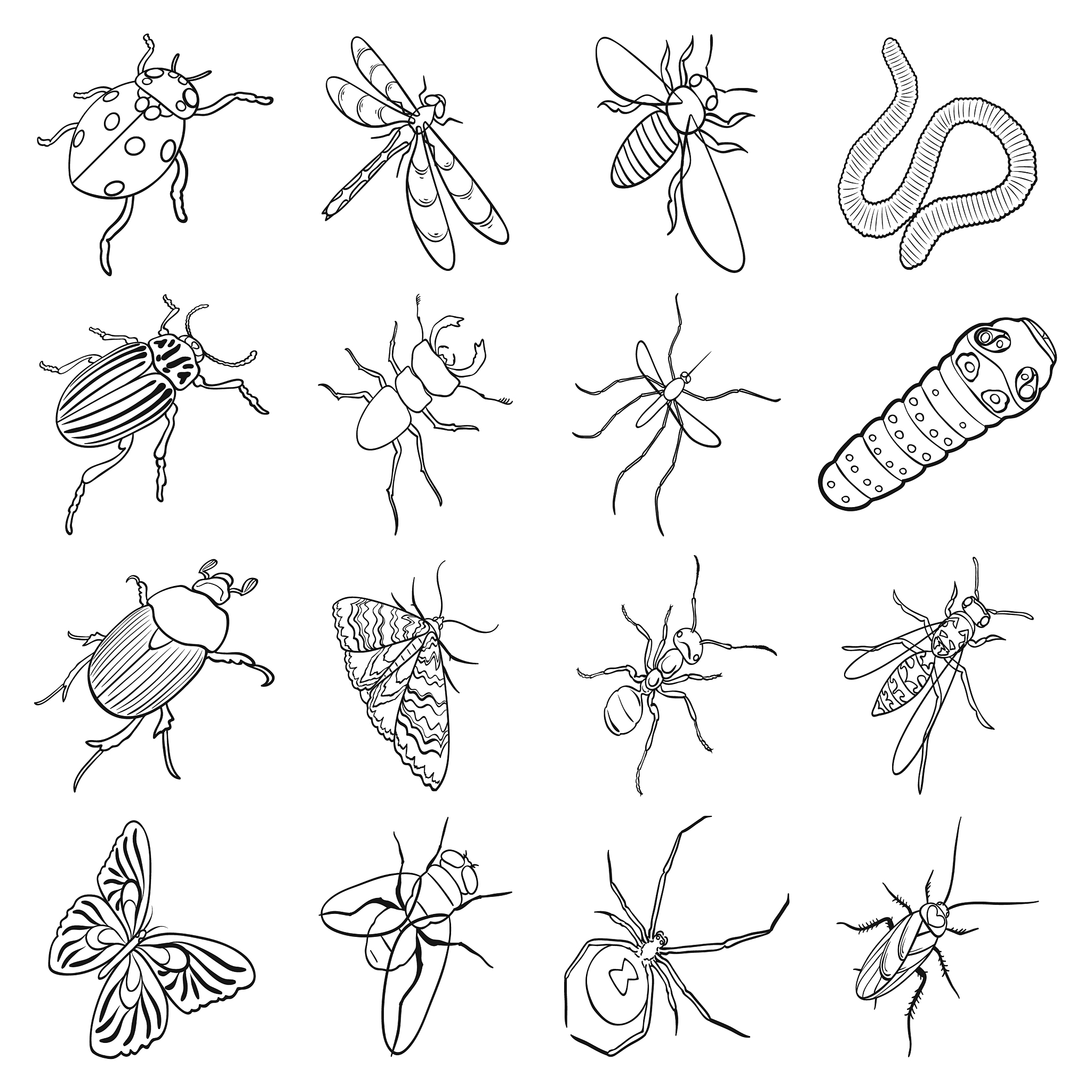 INSECT MOLECULAR BIOLOGY 期刊 - 昆虫分子生物学研究的权威平台