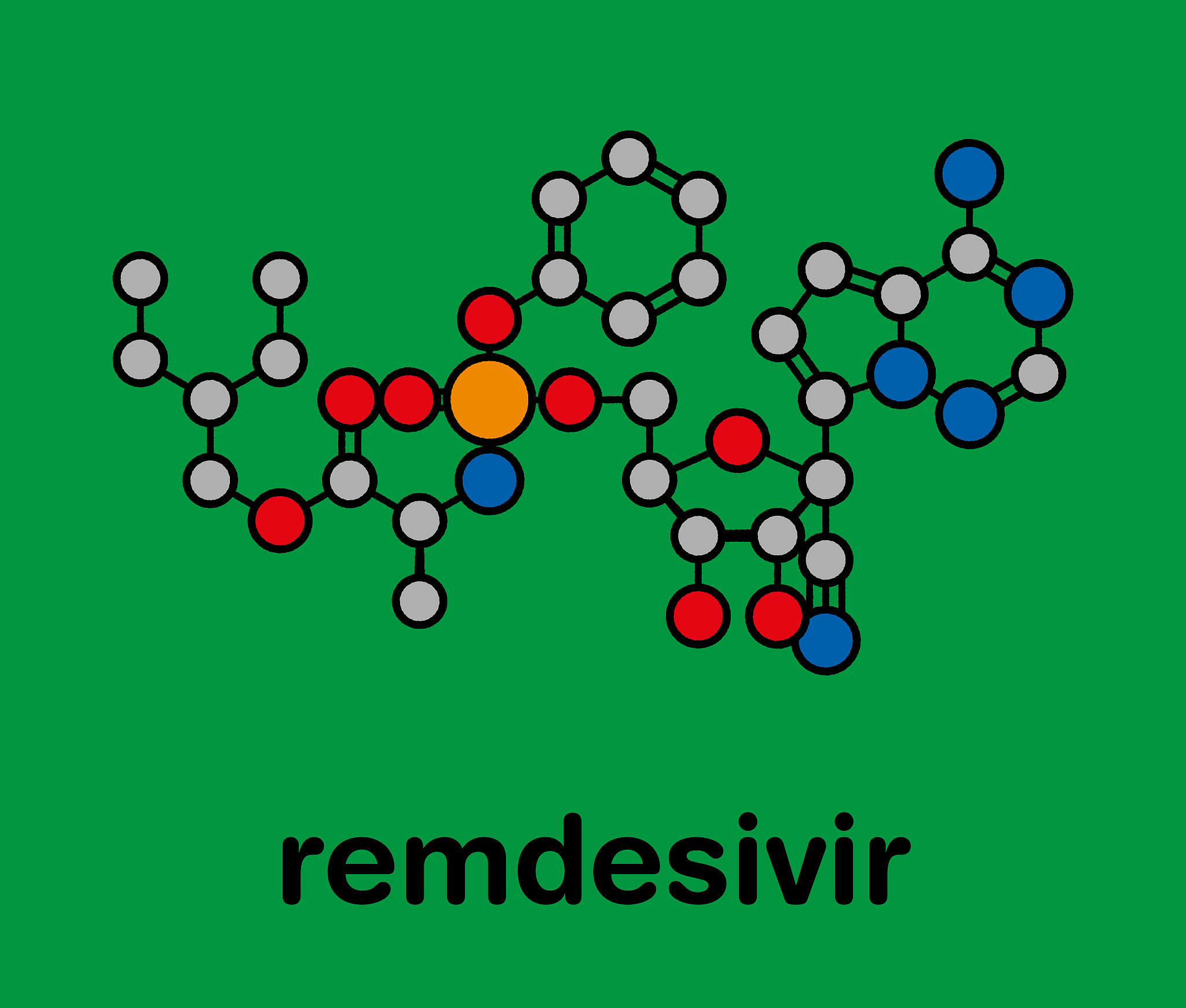 胆固醇如何影响细胞膜的流动性？