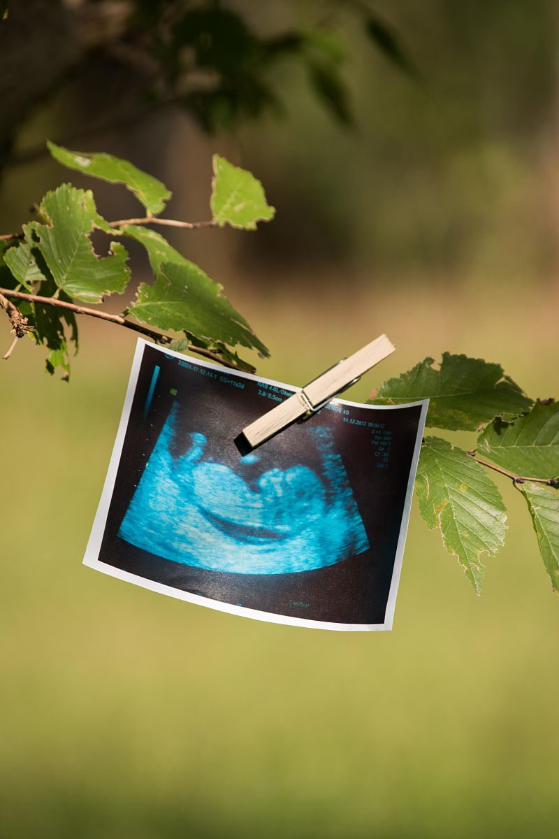 JOURNAL OF APPLIED ECOLOGY: 涵盖应用生态学研究范围的国际期刊