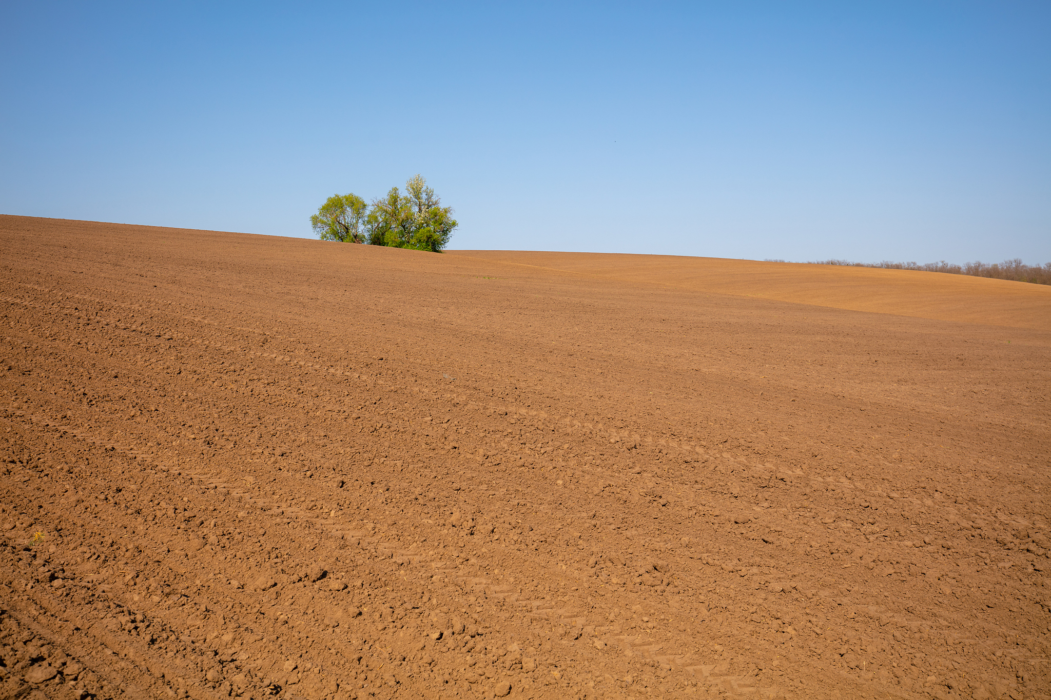 view of the arable field on a sunny day. rural landscape