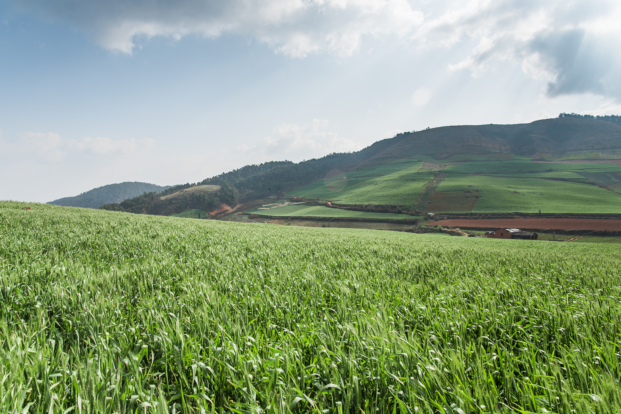 2022年红河州农业学校建筑工程施工专业招生