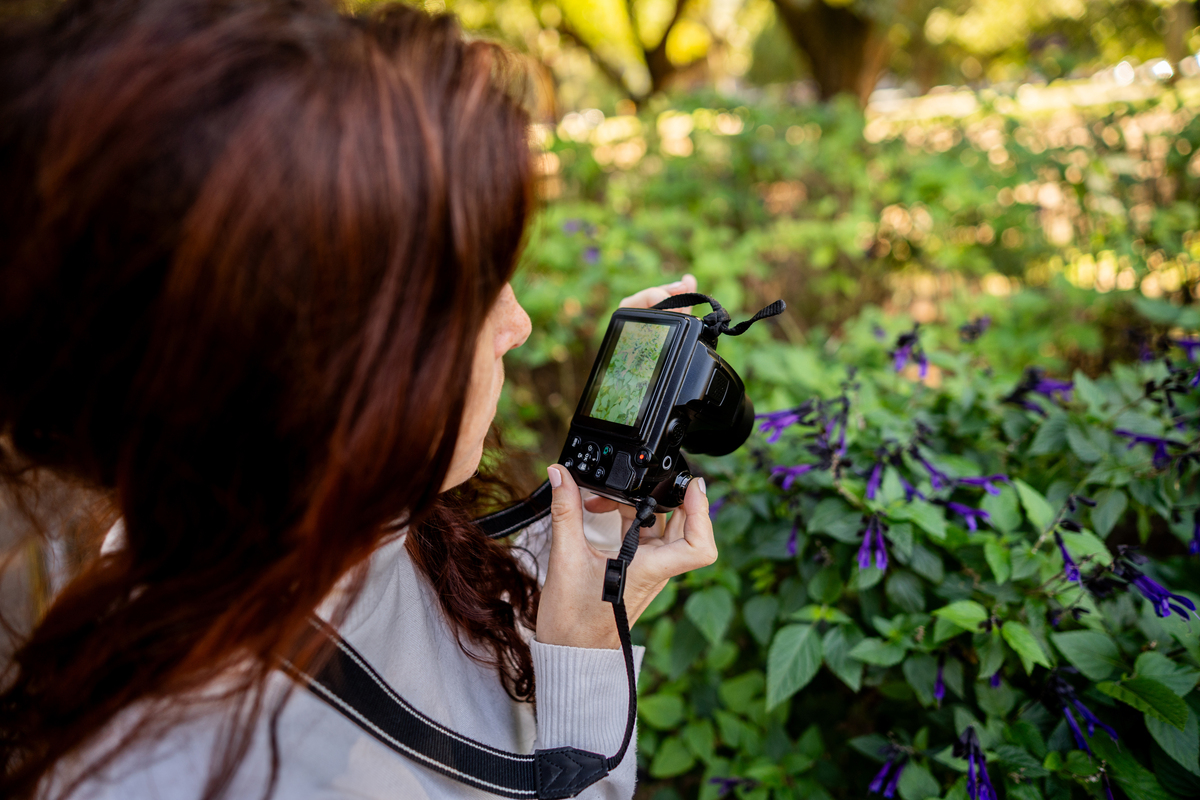 尼康AF-S NIKKOR 24-70mm f/2.8E ED VR 镜头评测：优缺点分析