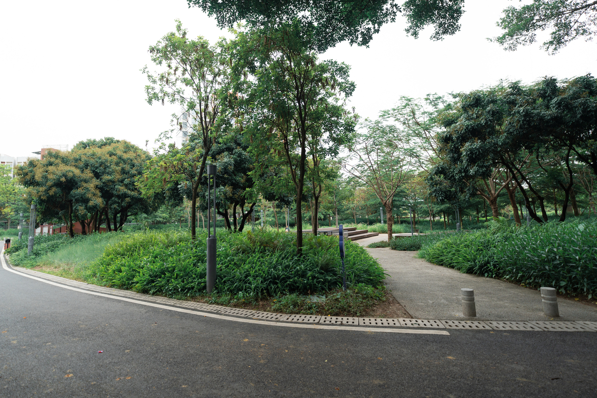 城乡绿地的基本概念