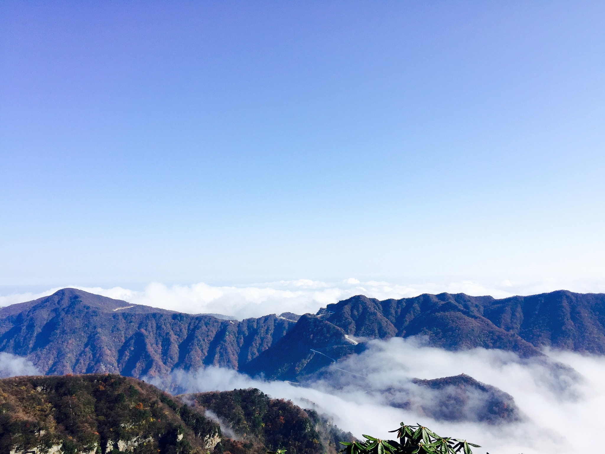 巴中中专学校排名：哪个学校最适合你？