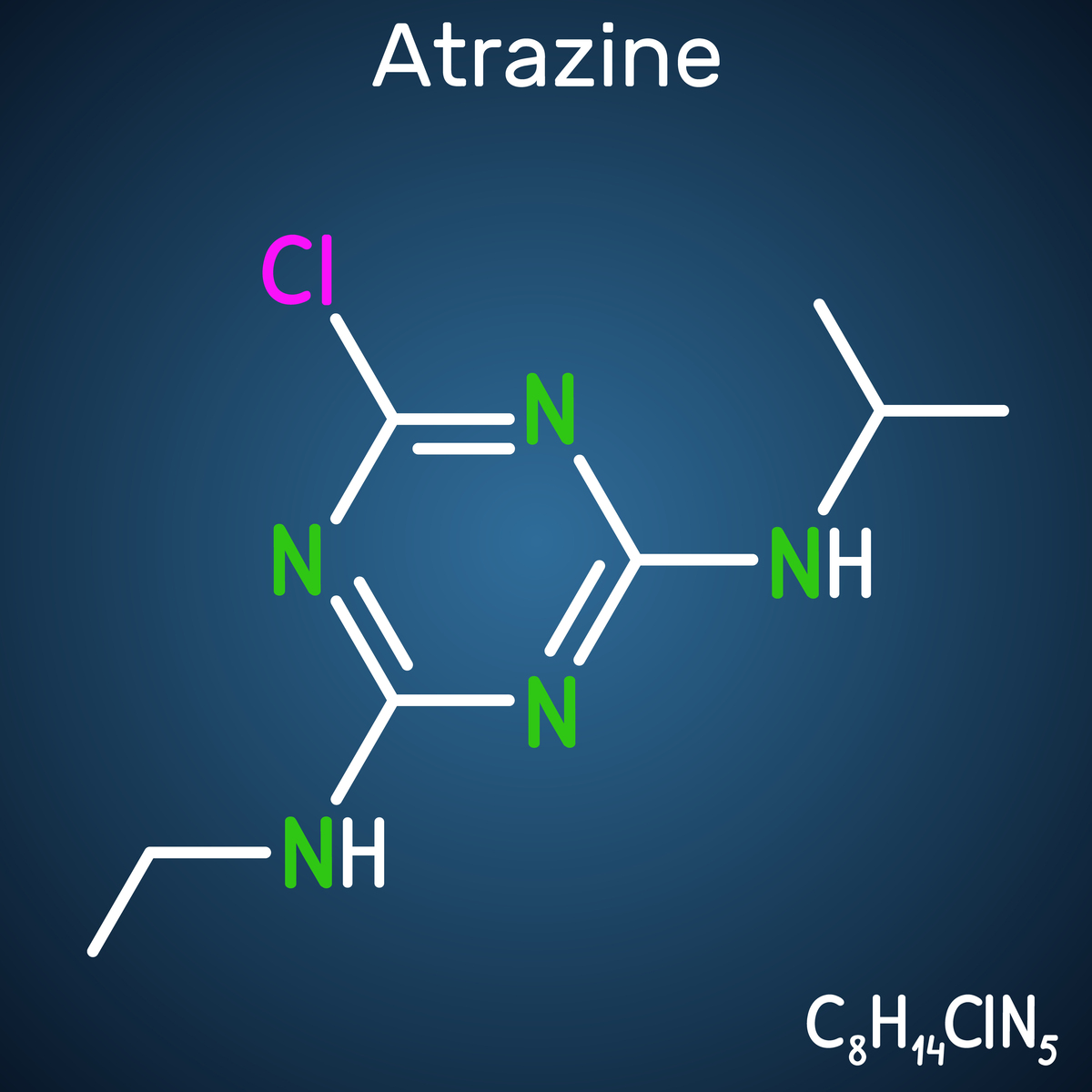 请翻译：目前制备异麦芽酮糖醇的主要方法是采用经蔗糖异构酶催化蔗糖产生的异麦芽酮糖作为加氢原料在高温高压的条件下经过雷尼镍催化剂的作用被加氢转化为异麦芽酮糖醇。然而异麦芽酮糖醇生产过程中存在副产物多、反应条件严苛、反应步骤冗长复杂产品分离纯化难度大的等问题。