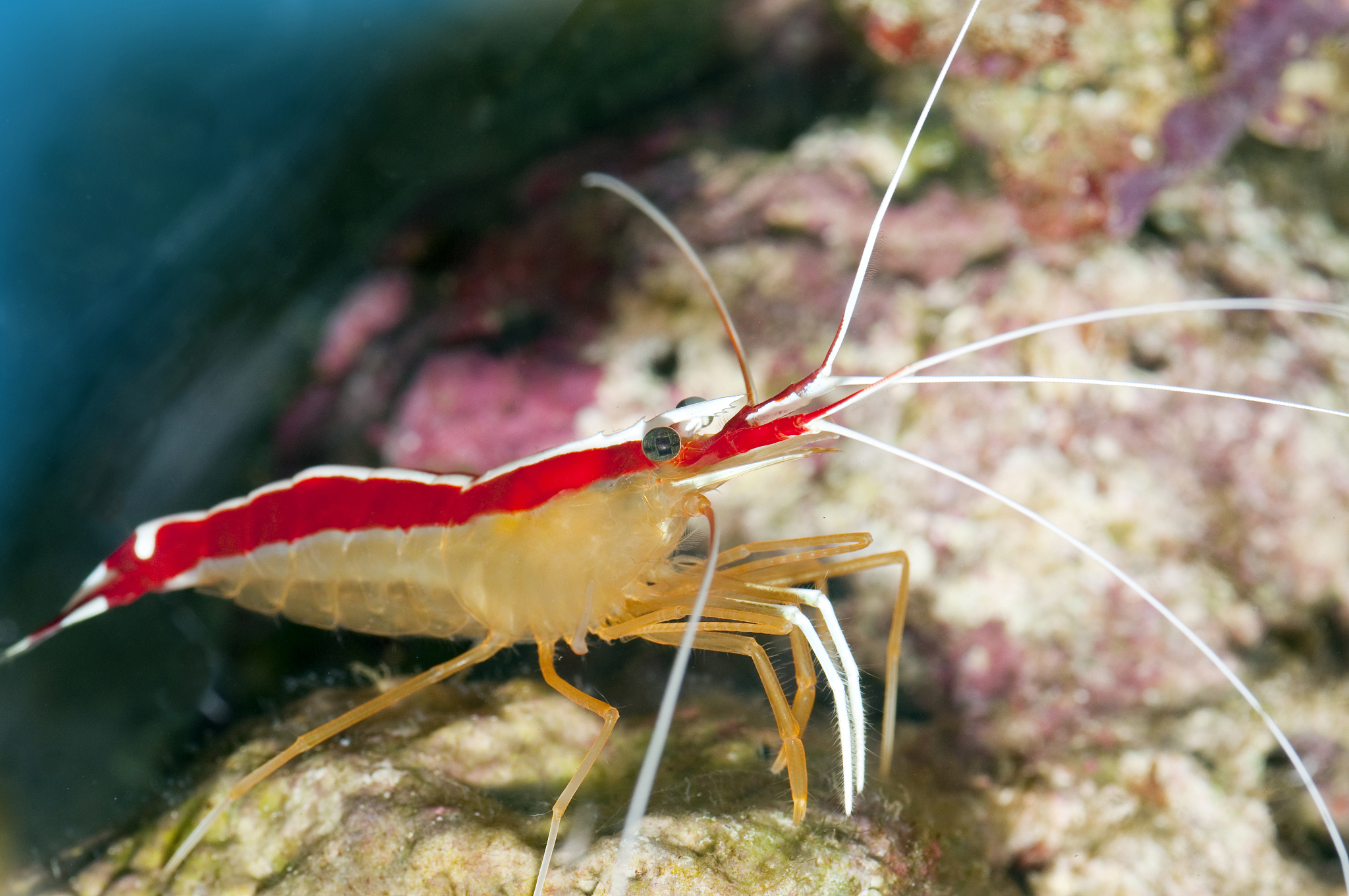 淮安生物工程高等职业学校2023年招生计划：招生人数、专业及报考指南