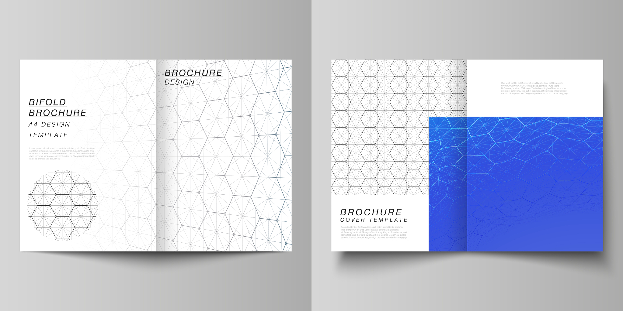 vector layout of two a4 format modern cover mockups design templ