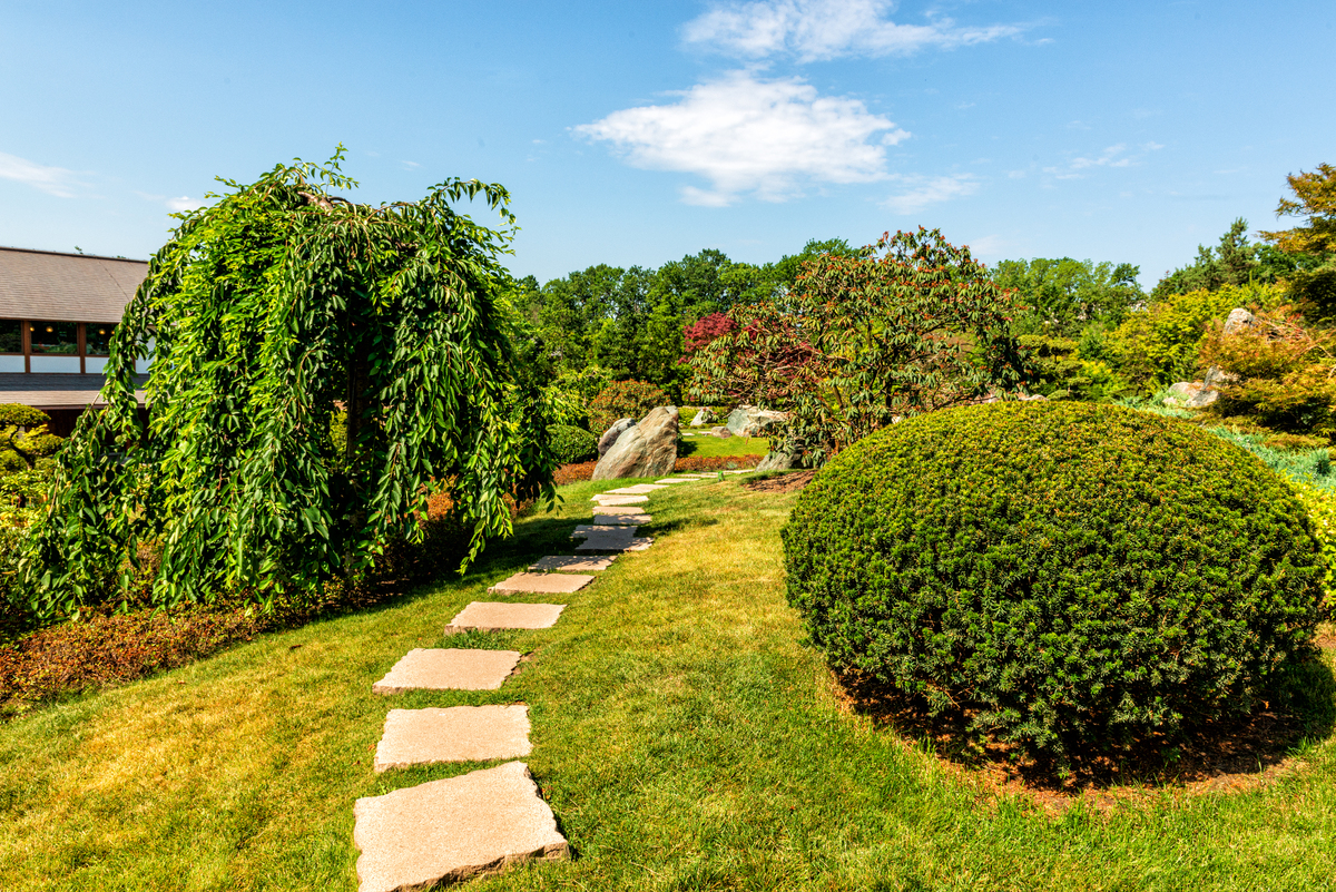 2乡土植物的相关概述	221乡土植物的概念	222乡土植物的应用优势	23乡土植物在西安市兴庆公园中的应用调查	331调查过程	332调查内容	333调查结果	4331乡土植物种类和数量	4332乡土植物的应用情况	4333公众对乡土植物的认知和评价	44乡土植物在西安兴庆公园的应用原则	541和谐共生生态平衡原则	542凸显地域文化特征原则	643乡土树种为主适地适树原则	744可持续发展原则