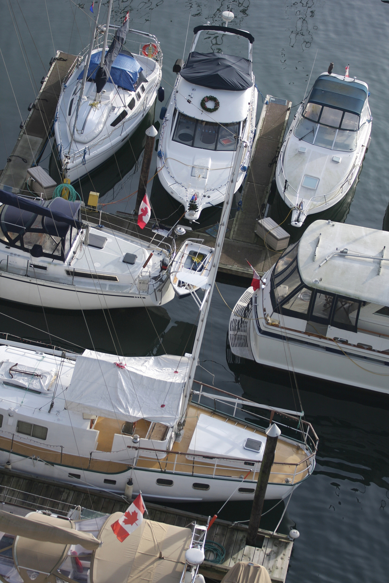 recreational boats in false creek, vancouver, british columbia, 