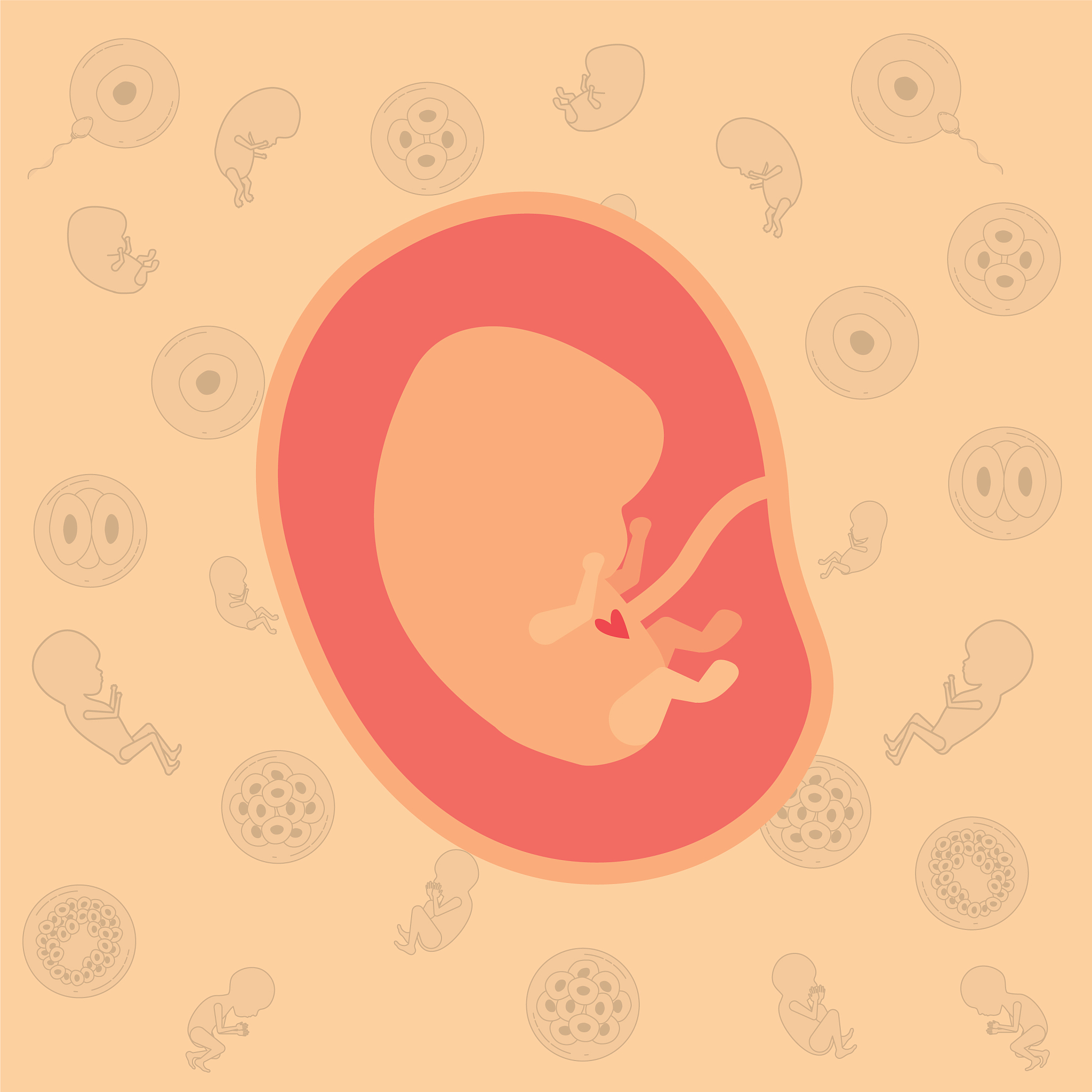 保胎失败的原因有哪些？