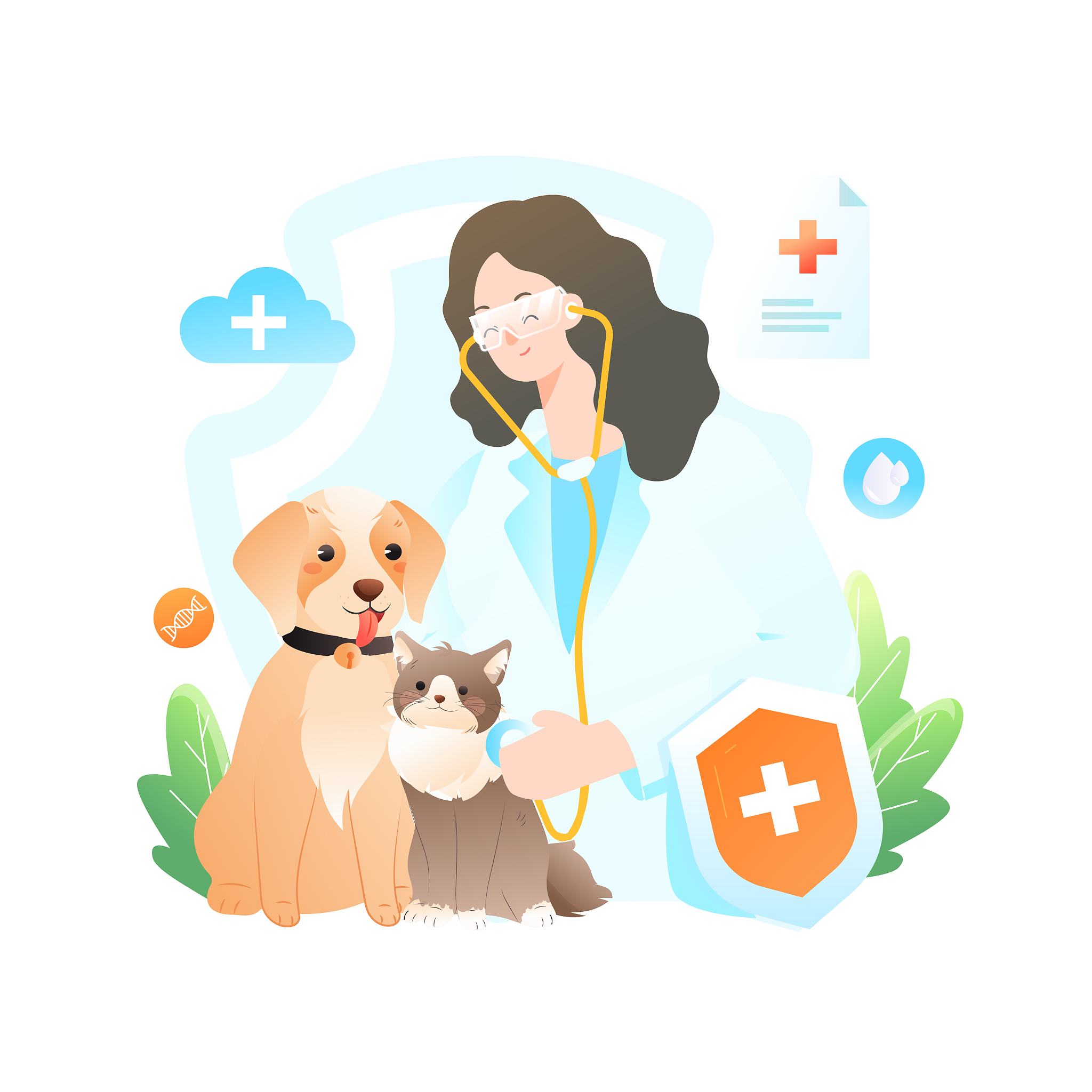 写一段50字猫粮测评计划有理有据逻辑清晰简洁明了