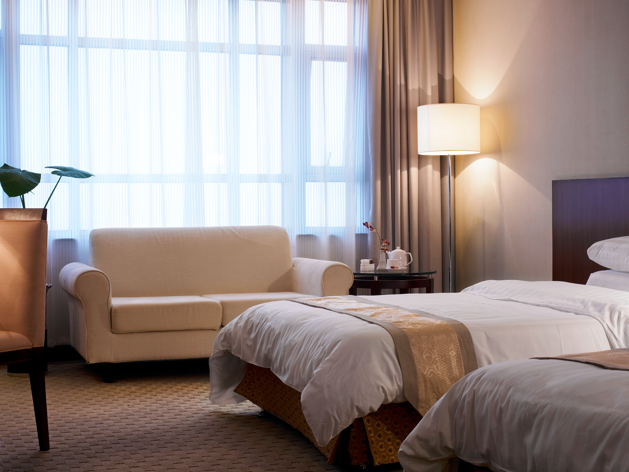 专房是什么意思？带你了解专房的种类、价格和注意事项