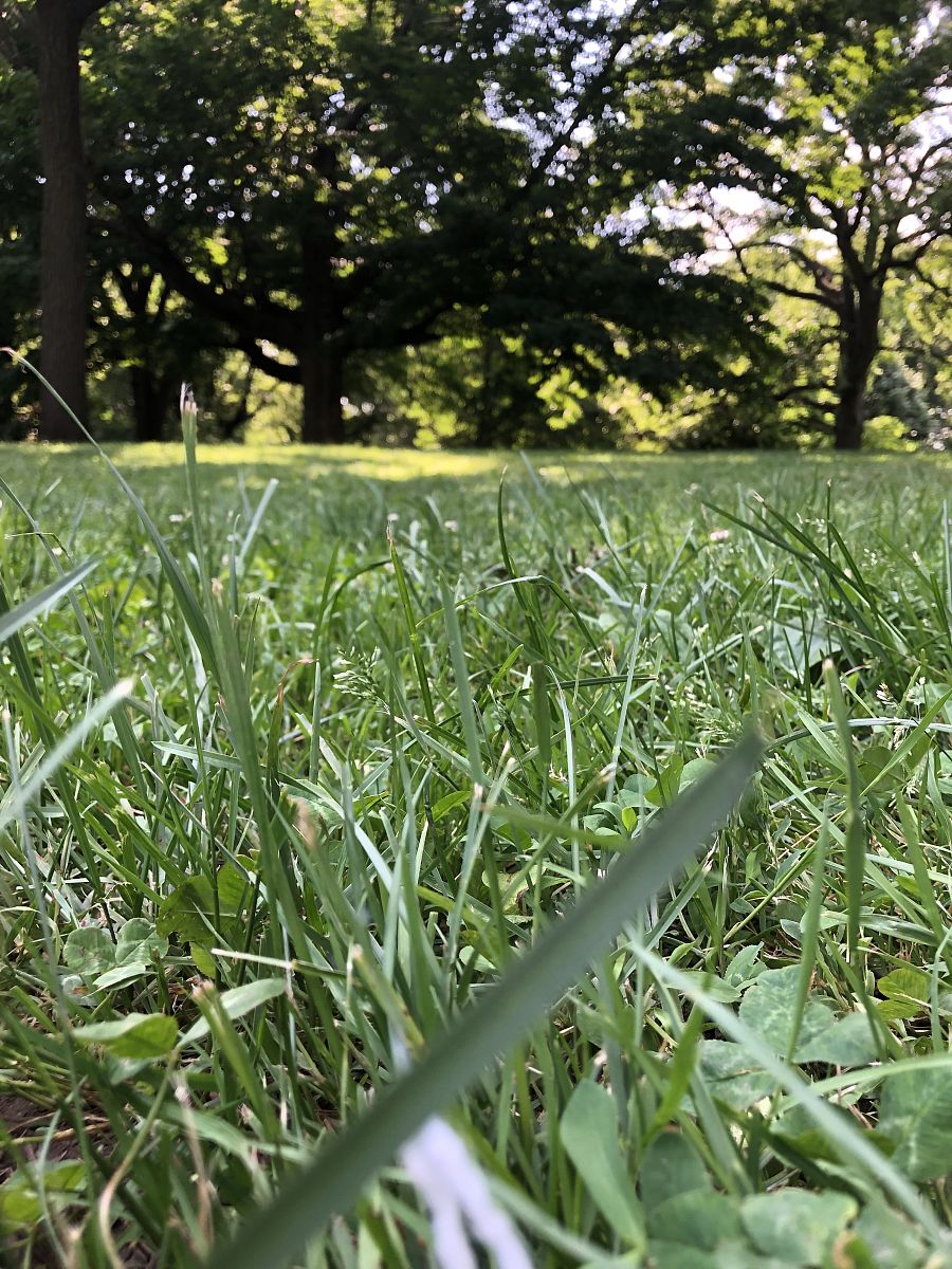 WEED SCIENCE期刊的详细介绍