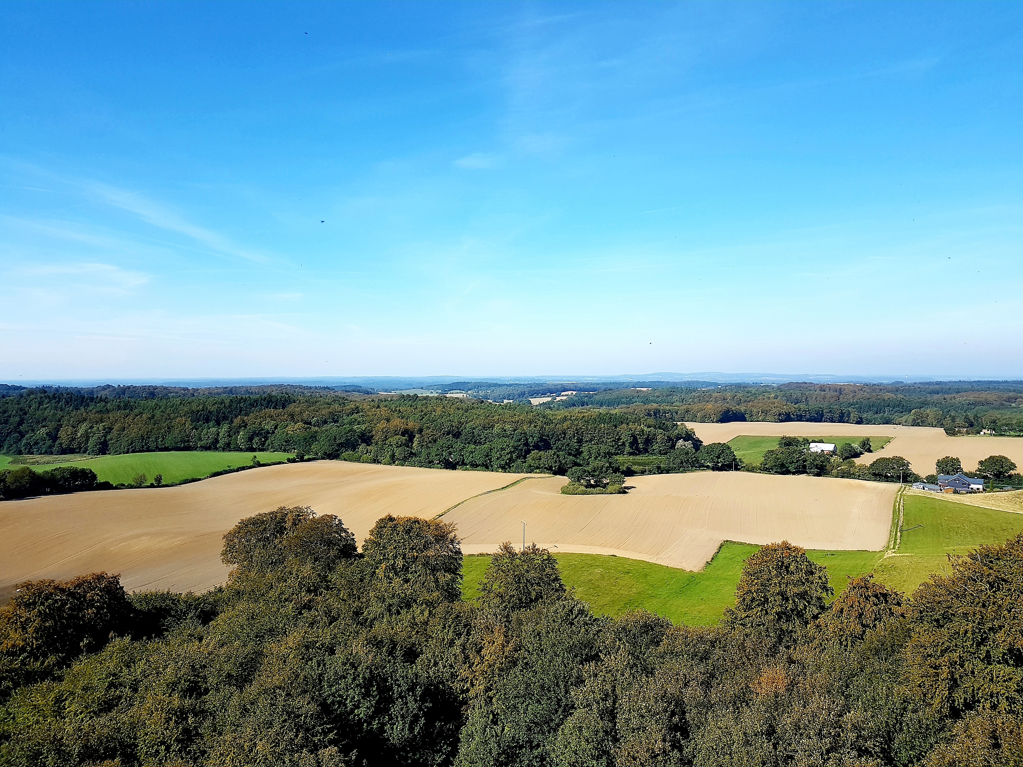 high angle view of trees on landscape against blue sky