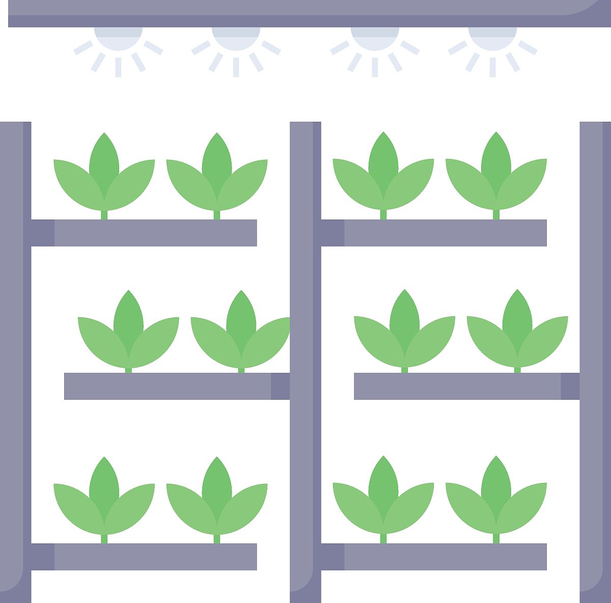 关于 翻山越岭食向未来演讲稿