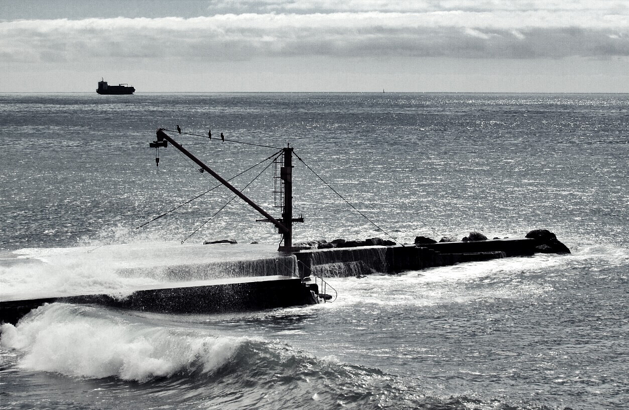 crane on rock in sea