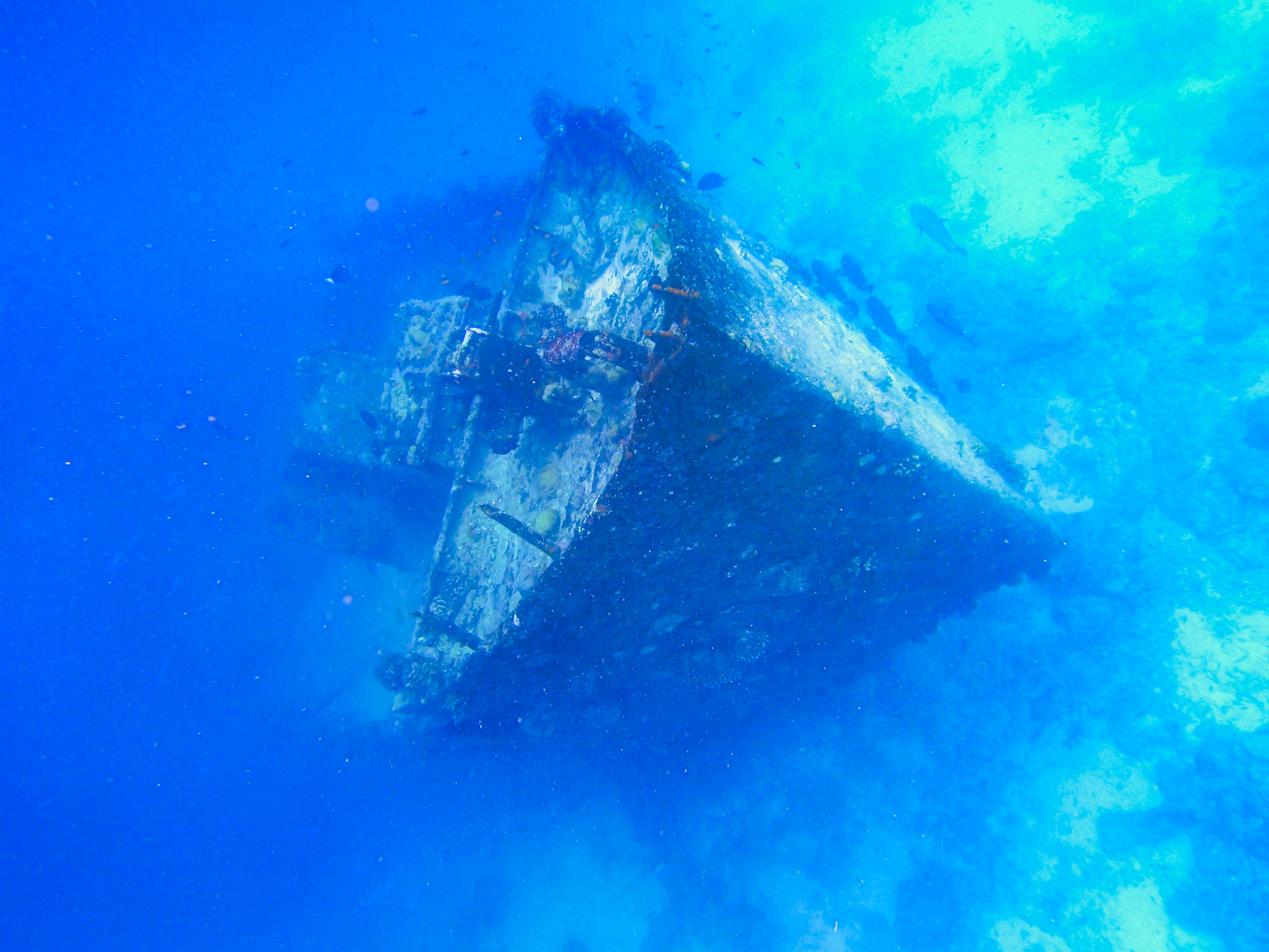 shipwreck in the sea - kuredu, maldives