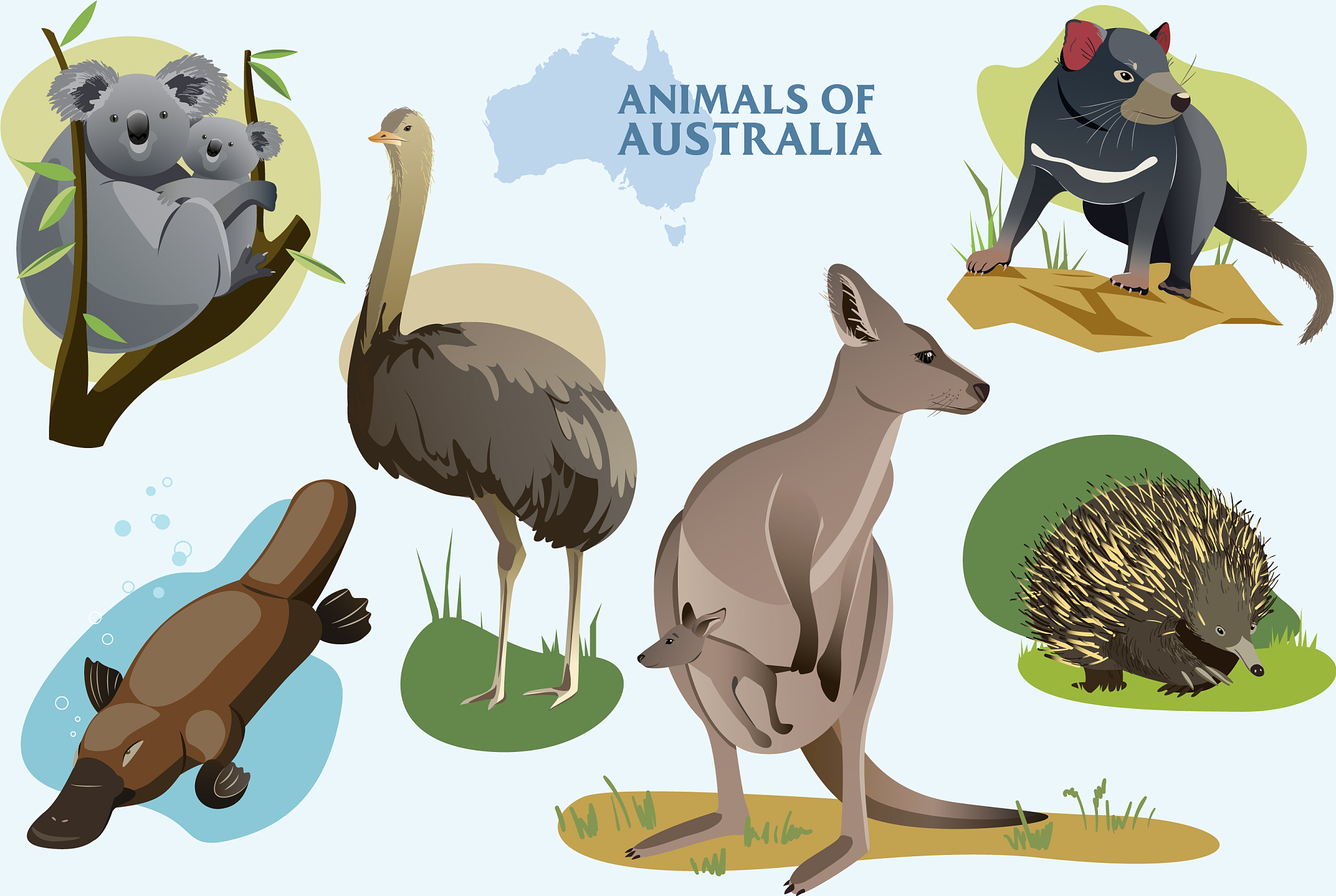 鸭嘴兽：进化史上的奇葩生物，你认识它吗？