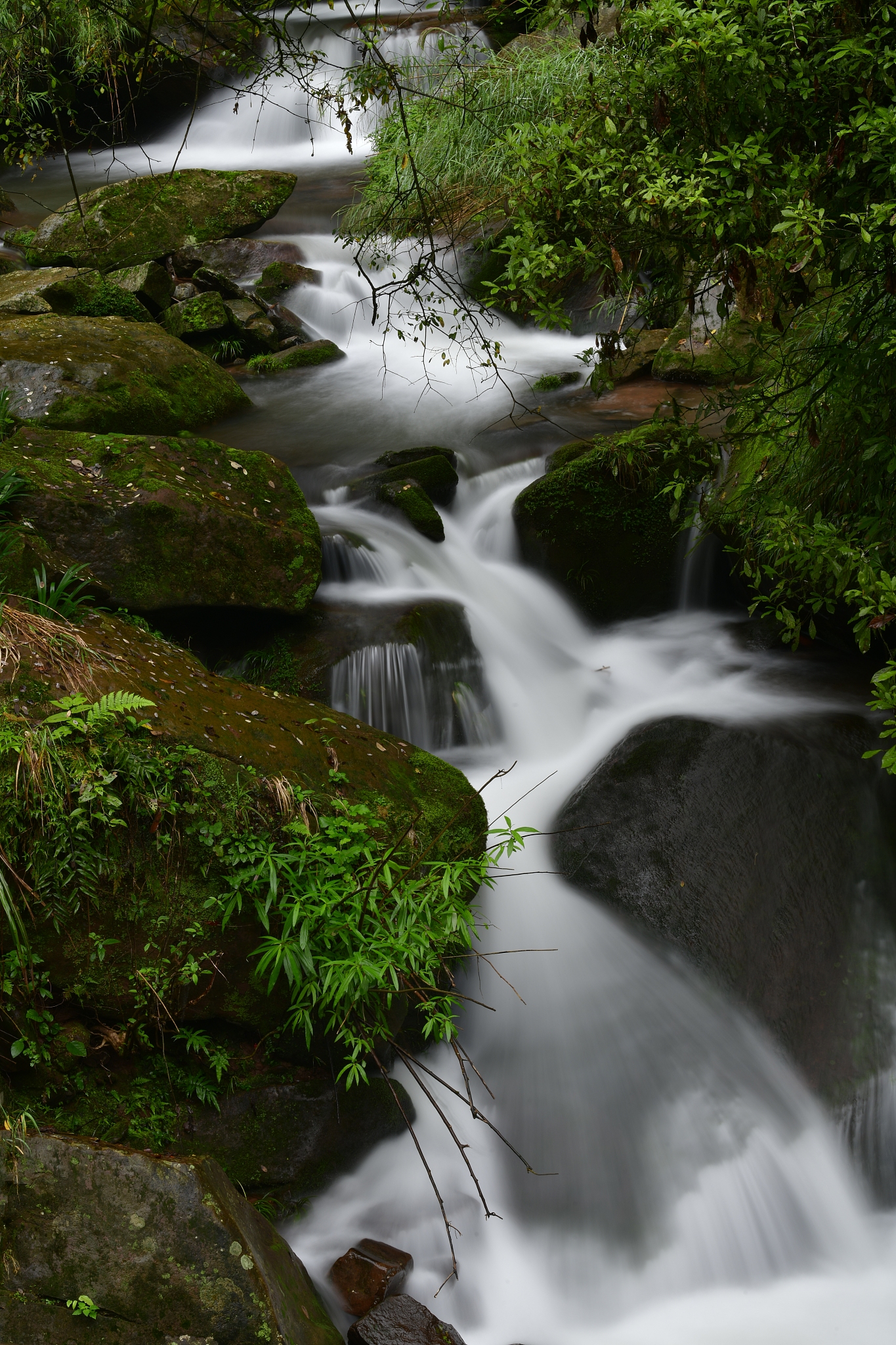 文章内容是雅安电力和市政资质新办和转让字