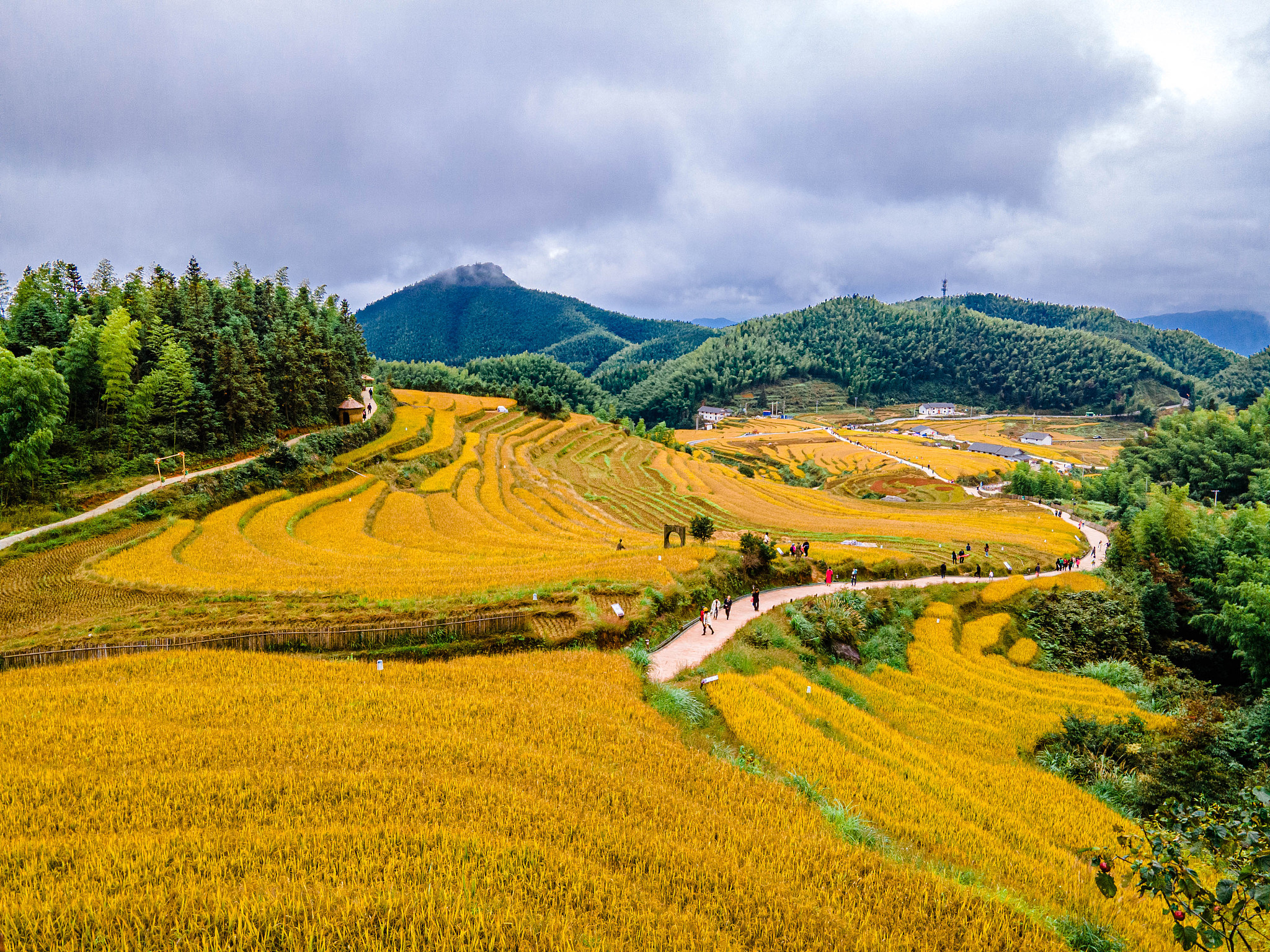 学习《树立绿树青山就是金山银山的强烈意识感悟