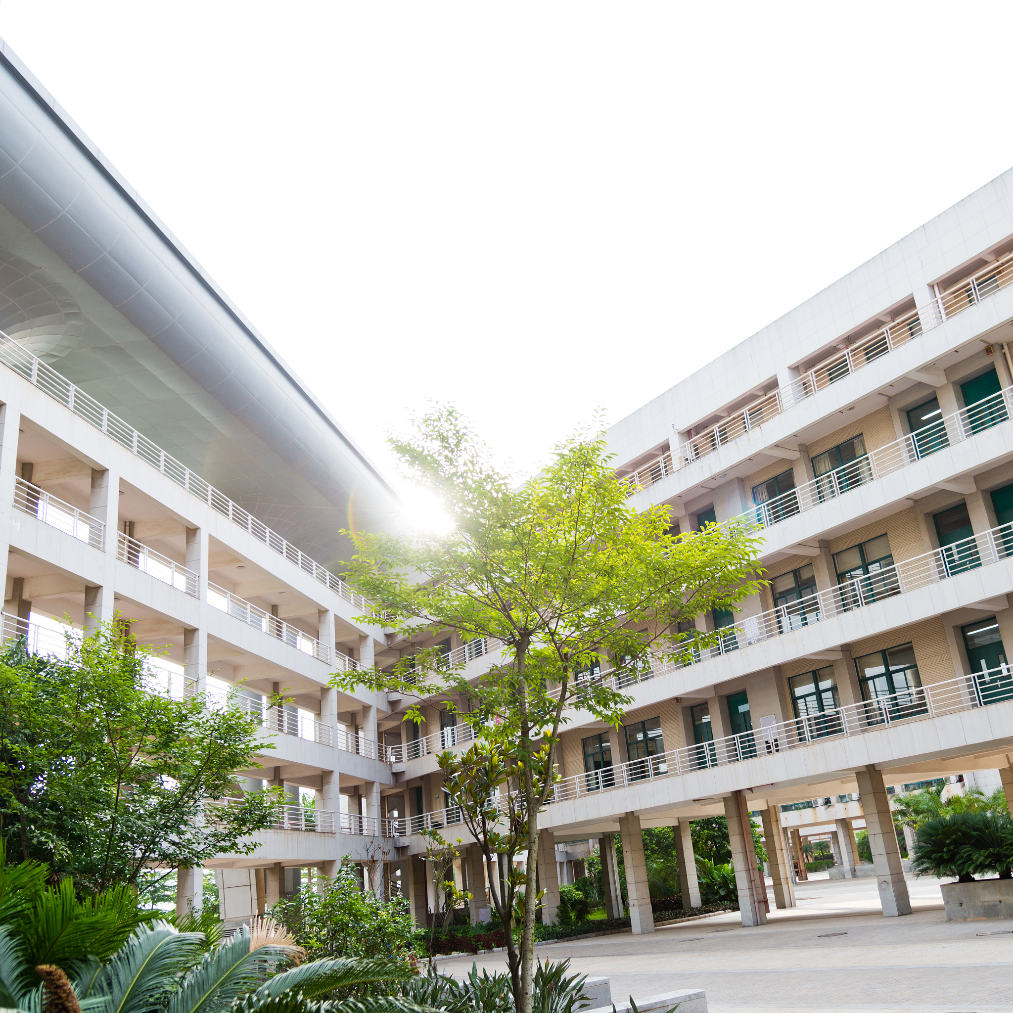 台山培英职业技术学校地址、环境及特色介绍 - 广东省台山市职业教育学校