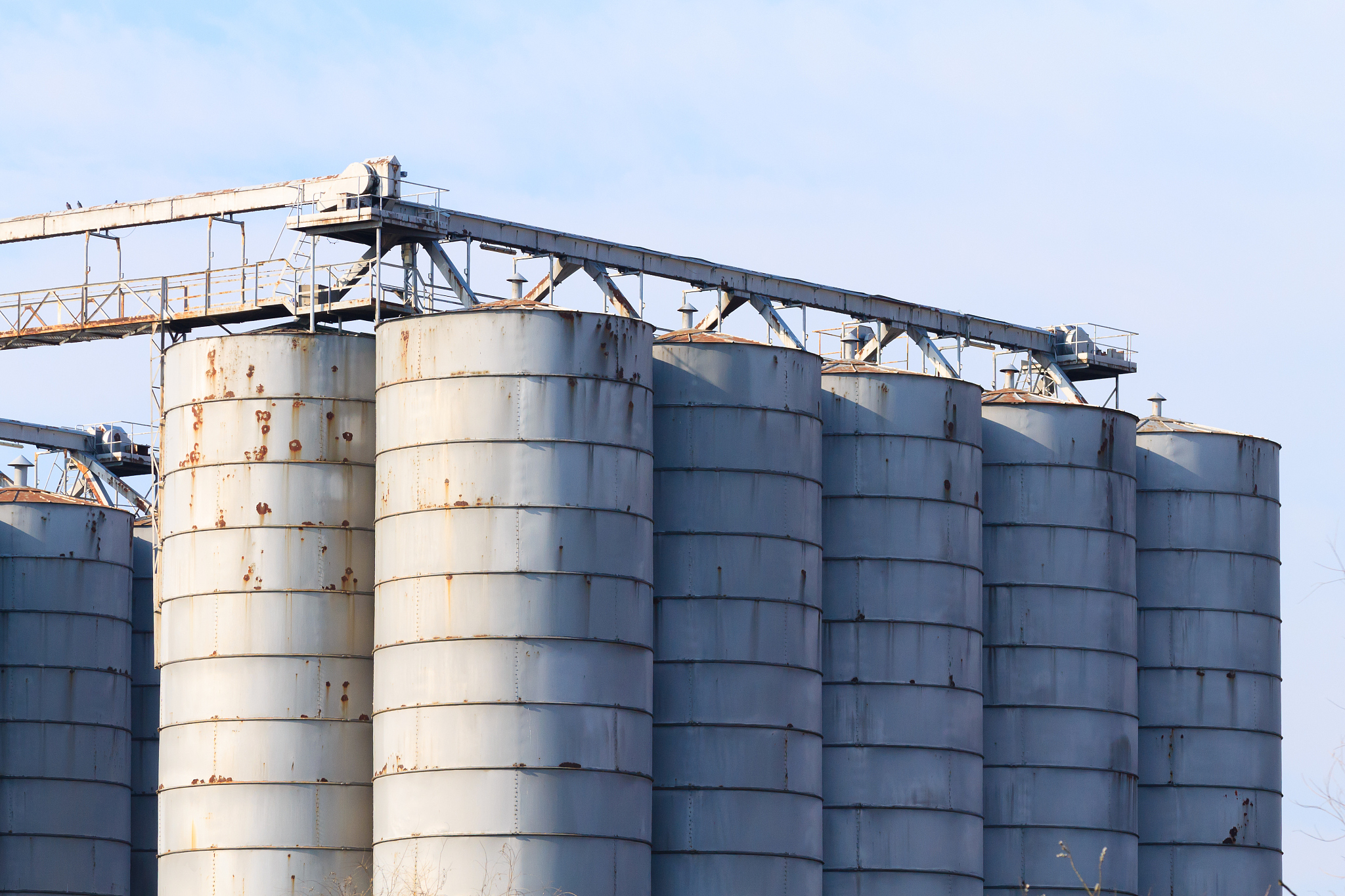 货物取样延迟通知：码头筒仓货物板结导致出货缓慢