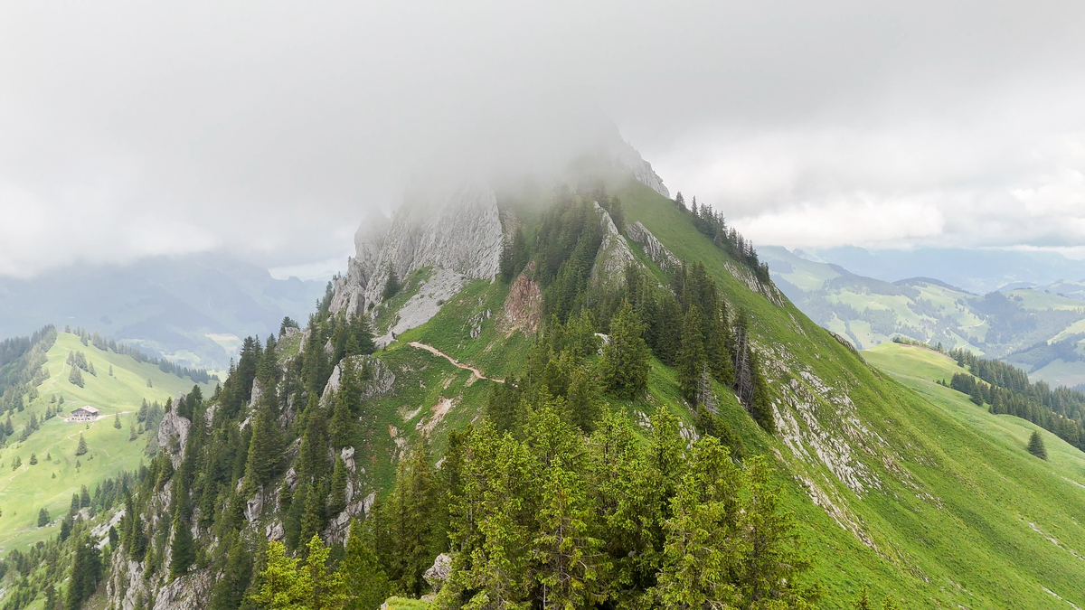 无人机视角,俯瞰岩石和高山松树的美丽山峰.山坡上一.