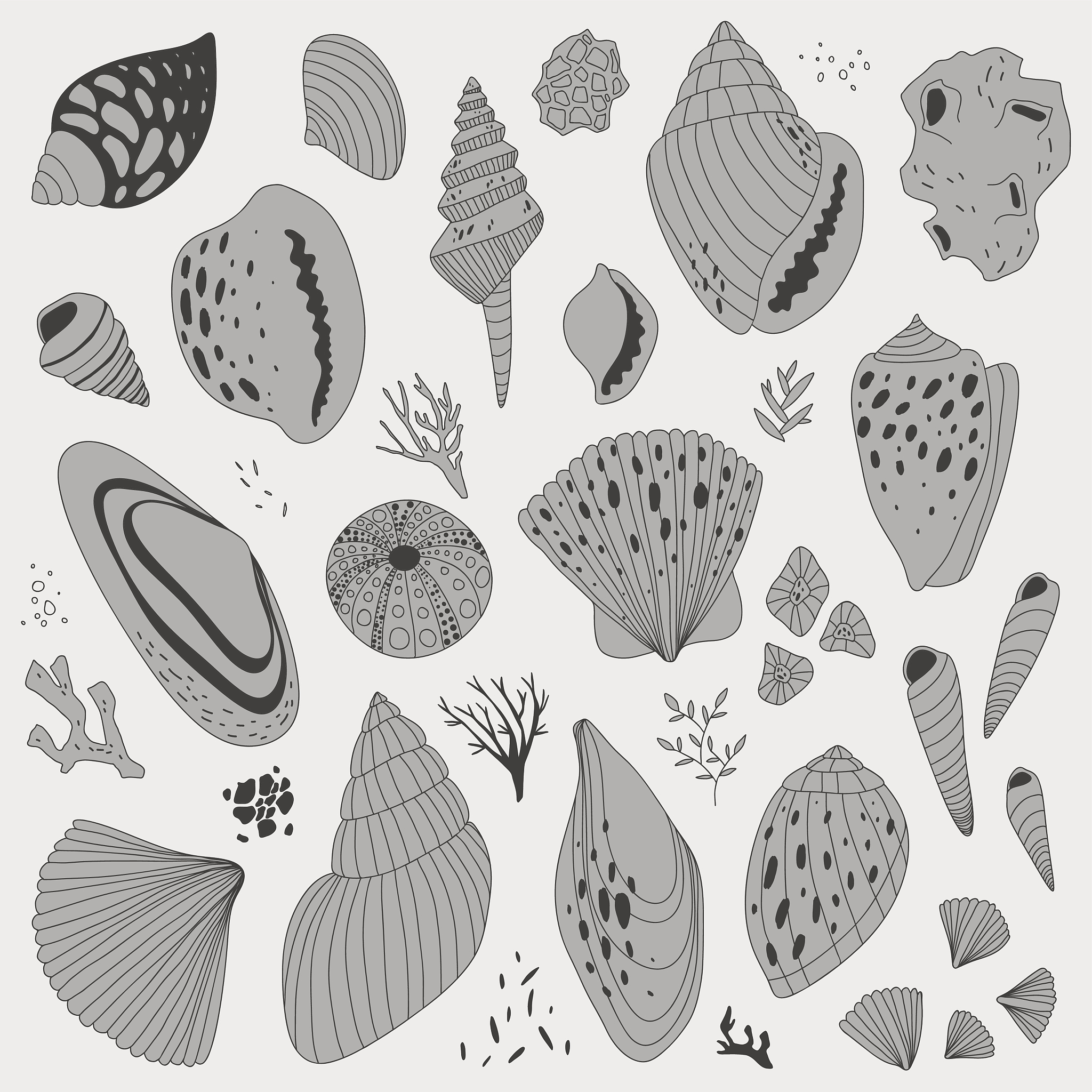 vector hand drawn illustration with colorful shells