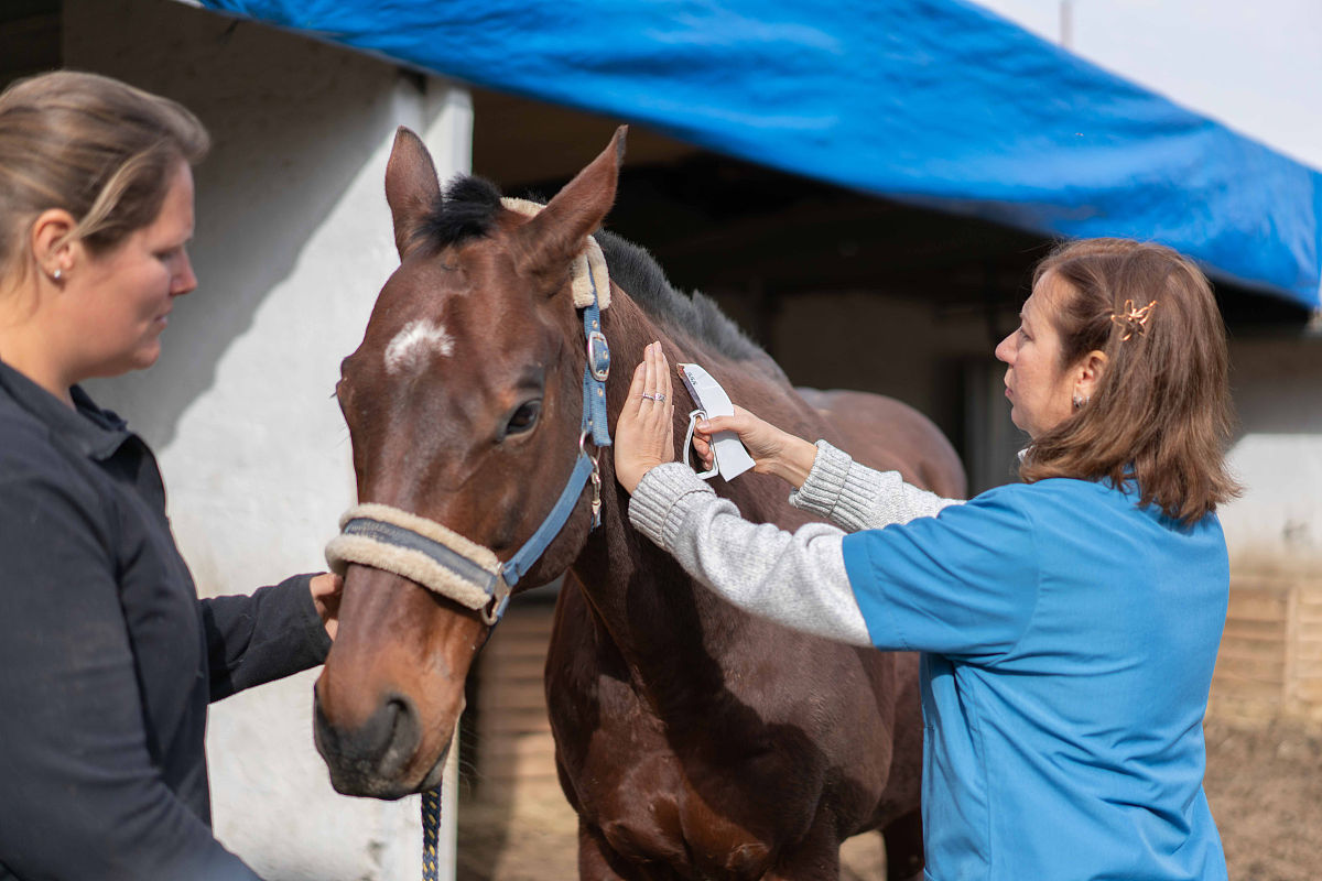自己缝合伤口？危险！寻求专业帮助才能安全