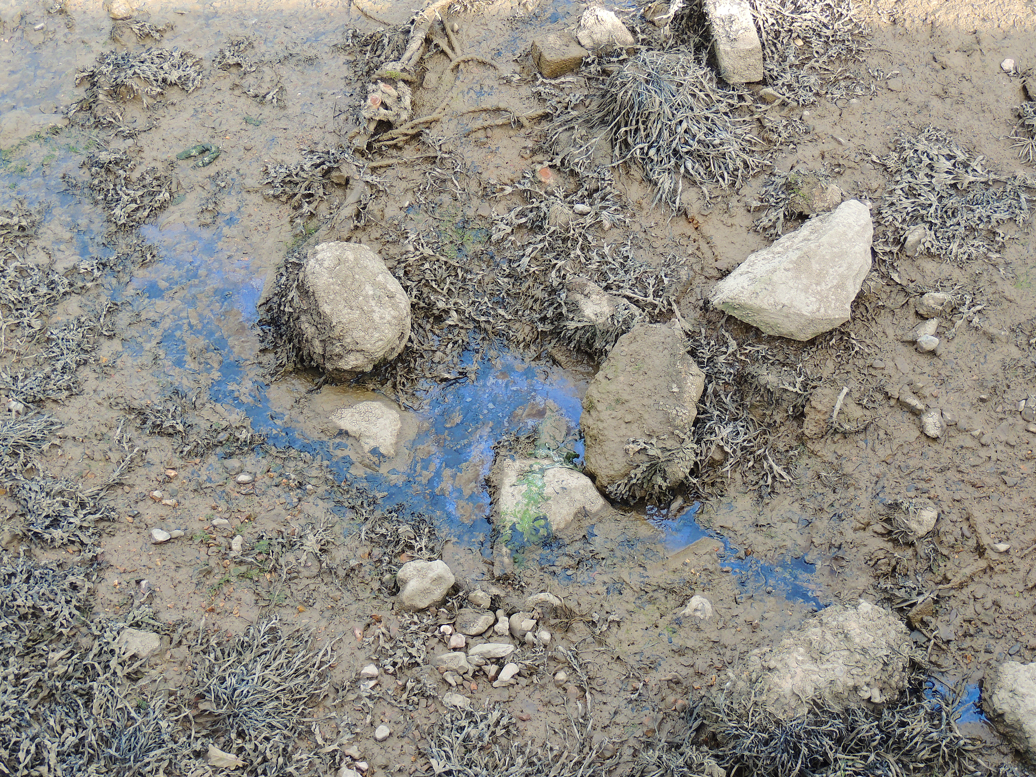 卵砾石河床冲刷模型试验未来的发展趋势