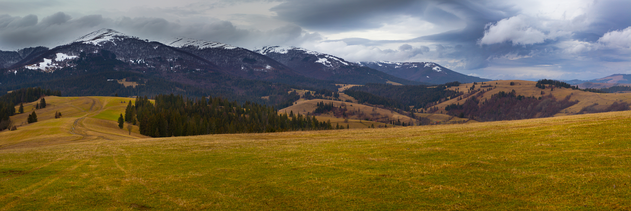 ukrainian carpathian mountains. autumn. panorama.