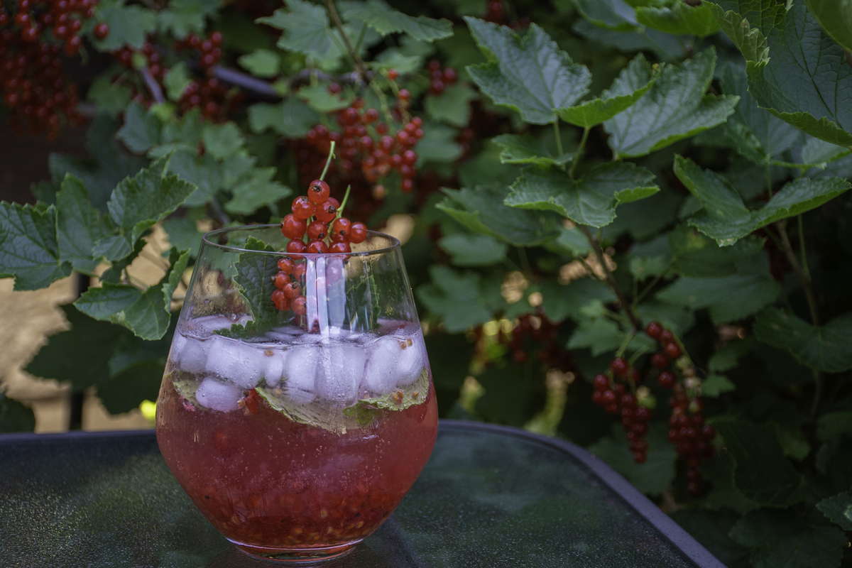 柠檬桑椹气泡酒的做法 - 酸甜可口，在家轻松制作