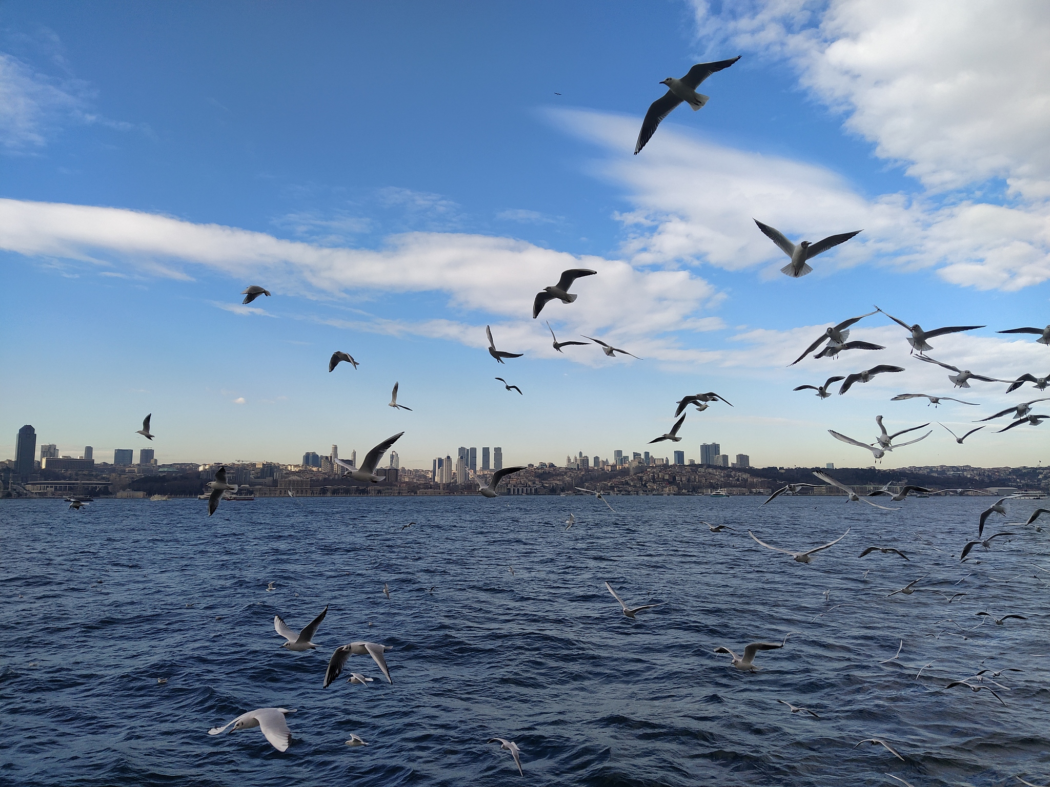 Идеи для сайта с множеством функций без сторонних библиотек